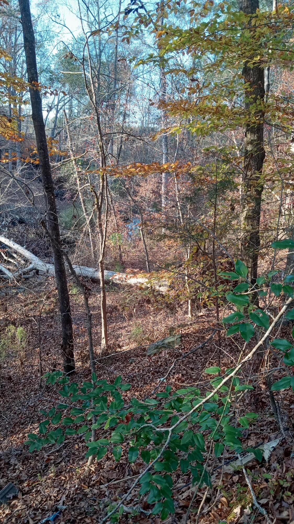 Residential Lot at 2722 Sc-23, Modoc, SC 29838, photo 36 of 62