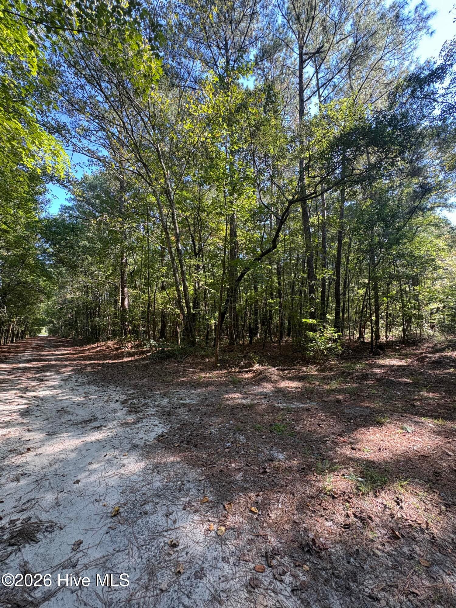 Residential Lot at 17 Old Tar Road, Winterville, NC 28590, photo 2 of 2