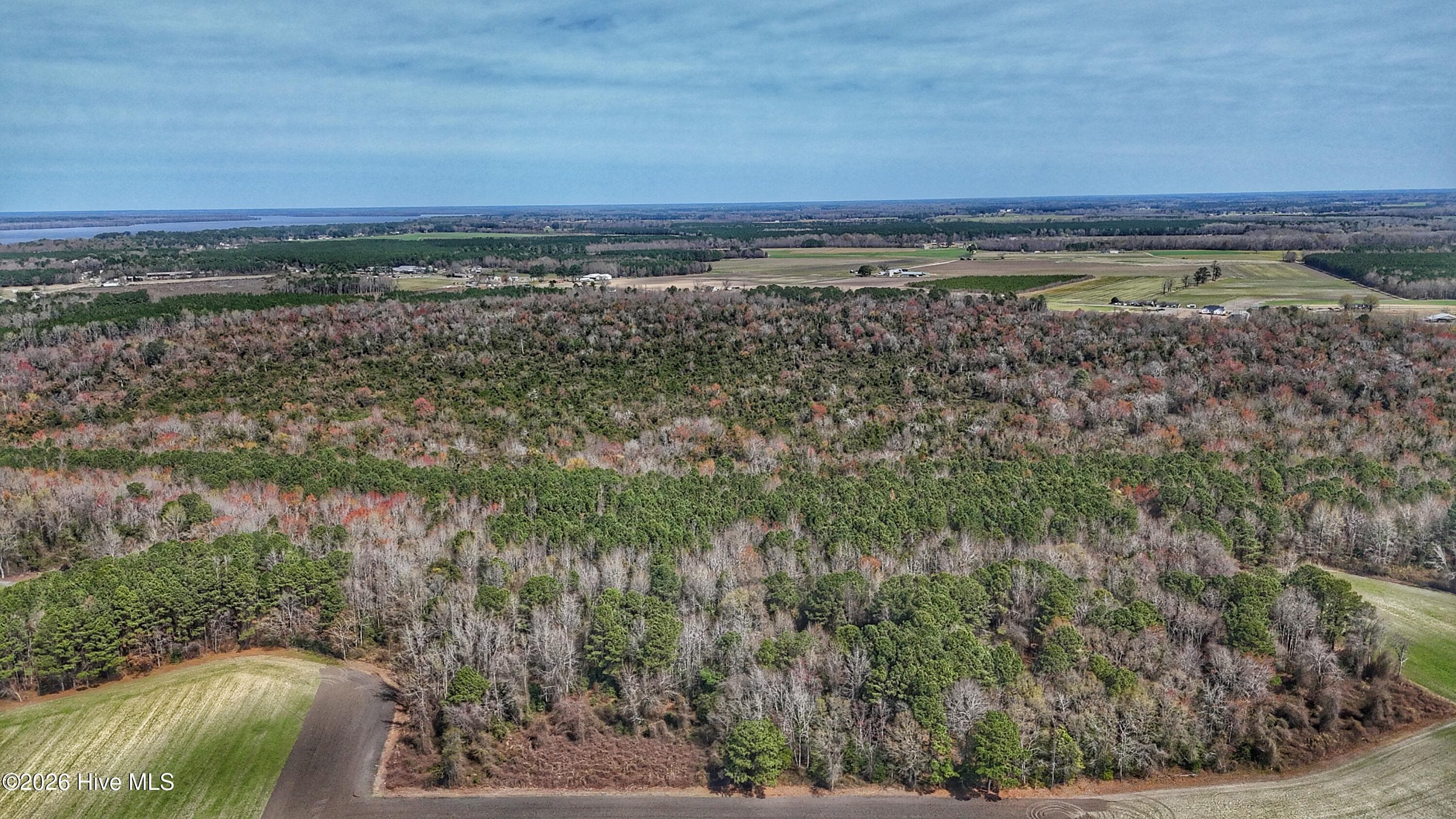 Wooded at 1612 Rocky Hock Landing Road, Edenton, NC 27932, photo 25 of 45