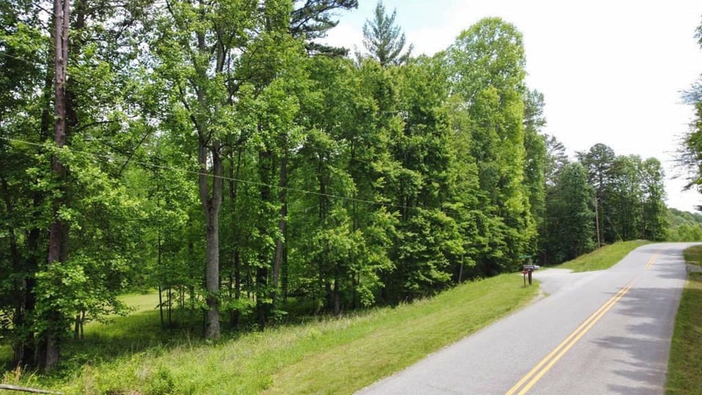 Land at Tract 1 Timber Ridge Road, Blairsville, GA 30512, photo 6 of 19