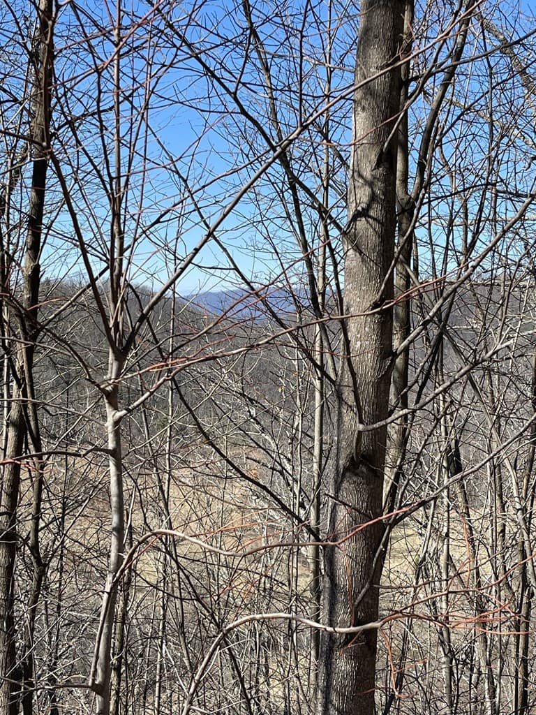 Residential Lot at Lot 29j 29J Ash Branch Rd, Hayesville, NC 28904, photo 3 of 5