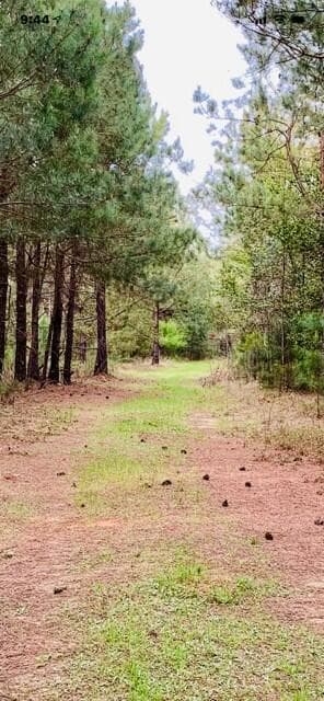 2405 Hwy 88, Hephzibah, GA 30815
