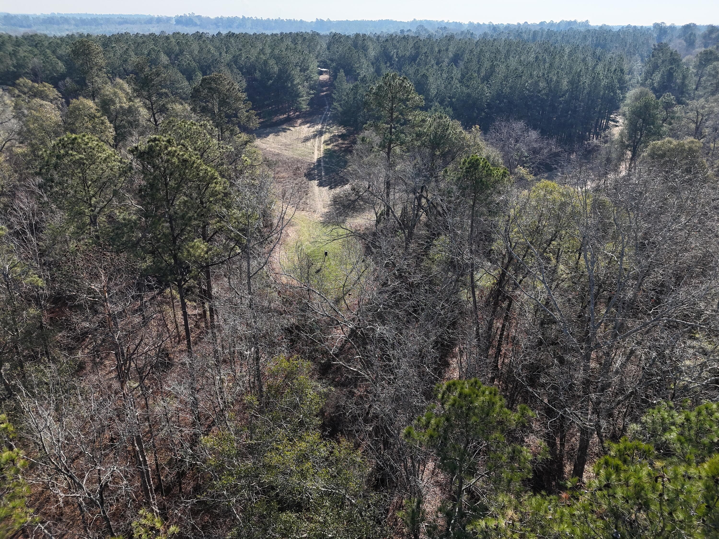 Undeveloped at 0 Ponderosa Road, Waynesboro, GA 30830, photo 12 of 45