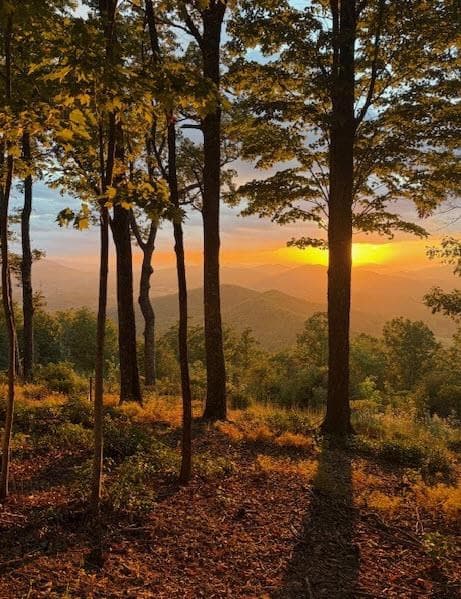 L-16&17 16 & 17 Summit Drive, Hayesville, NC 28904