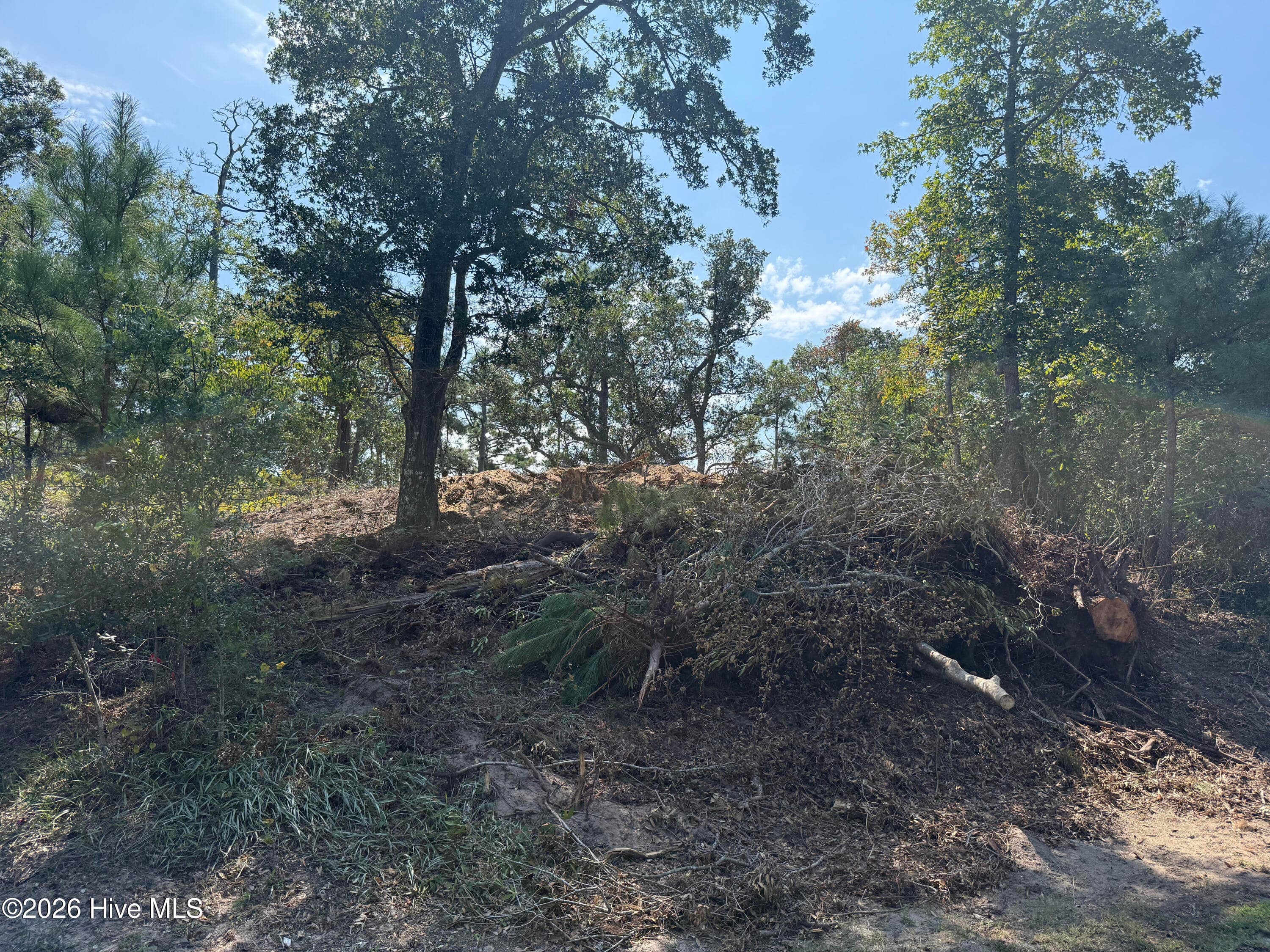 Undeveloped at 164 29 Shingle Landing Lane, Kill Devil Hills, NC 27948, photo 3 of 4