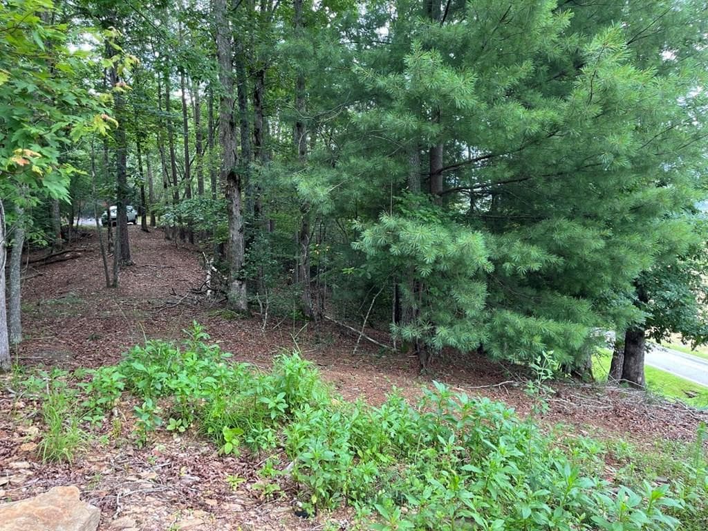 71 1 Martin Hills Drive, Murphy, NC 28906
