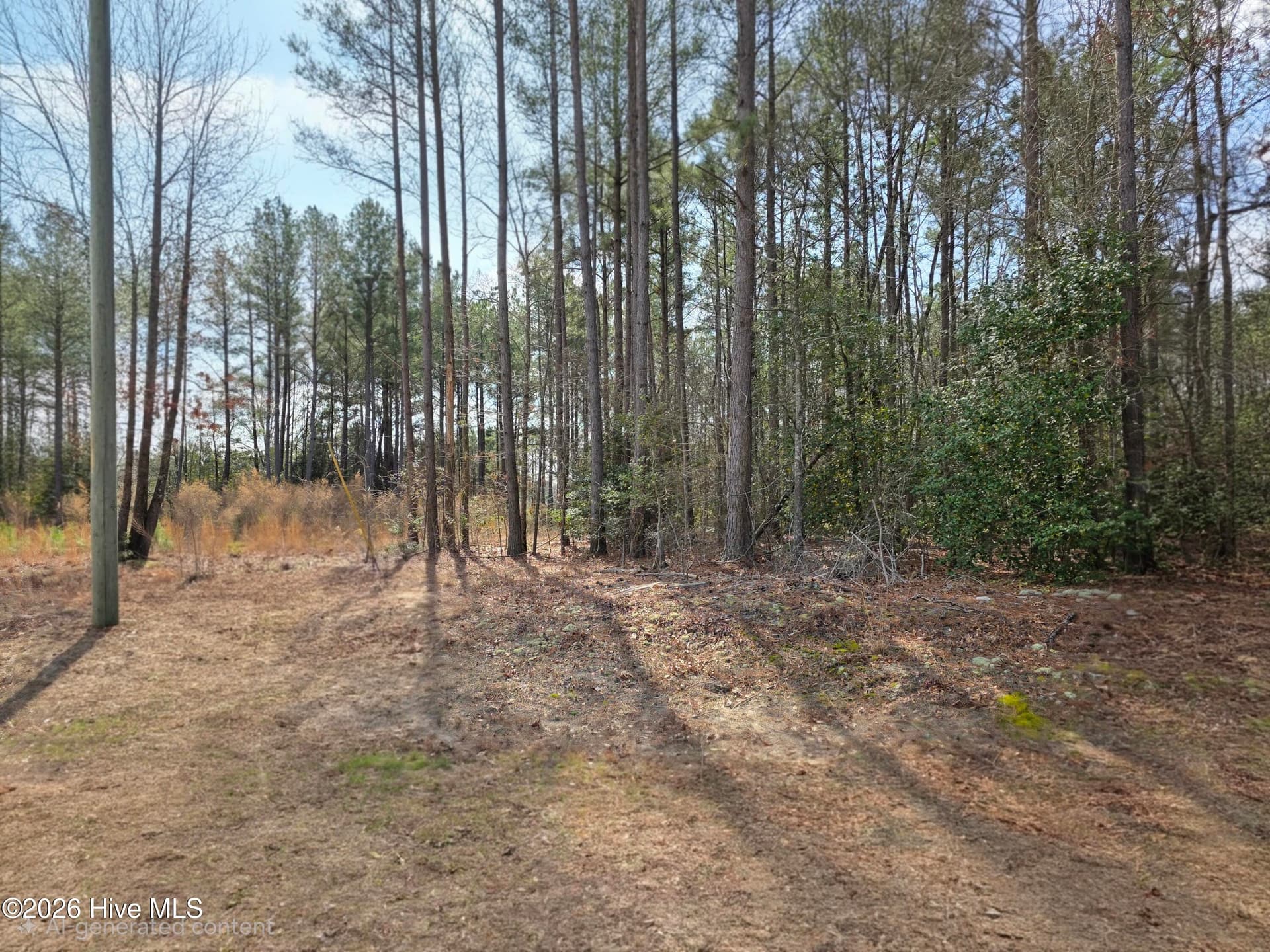 275 10 Raynor Sands Drive, Dunn, NC 28334