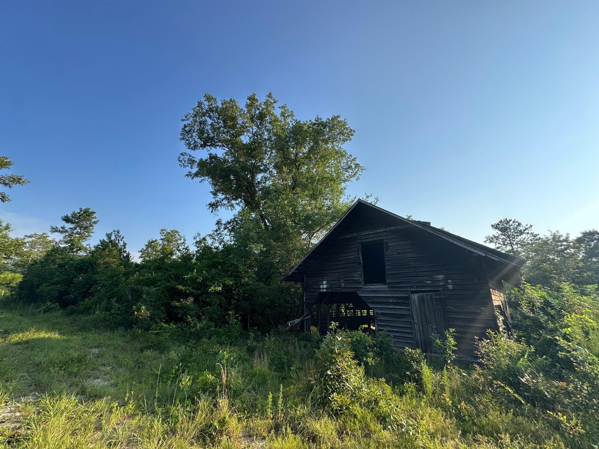 Undeveloped at 2576 Jessie James Pond Road, Wrens, GA 30833, photo 16 of 56