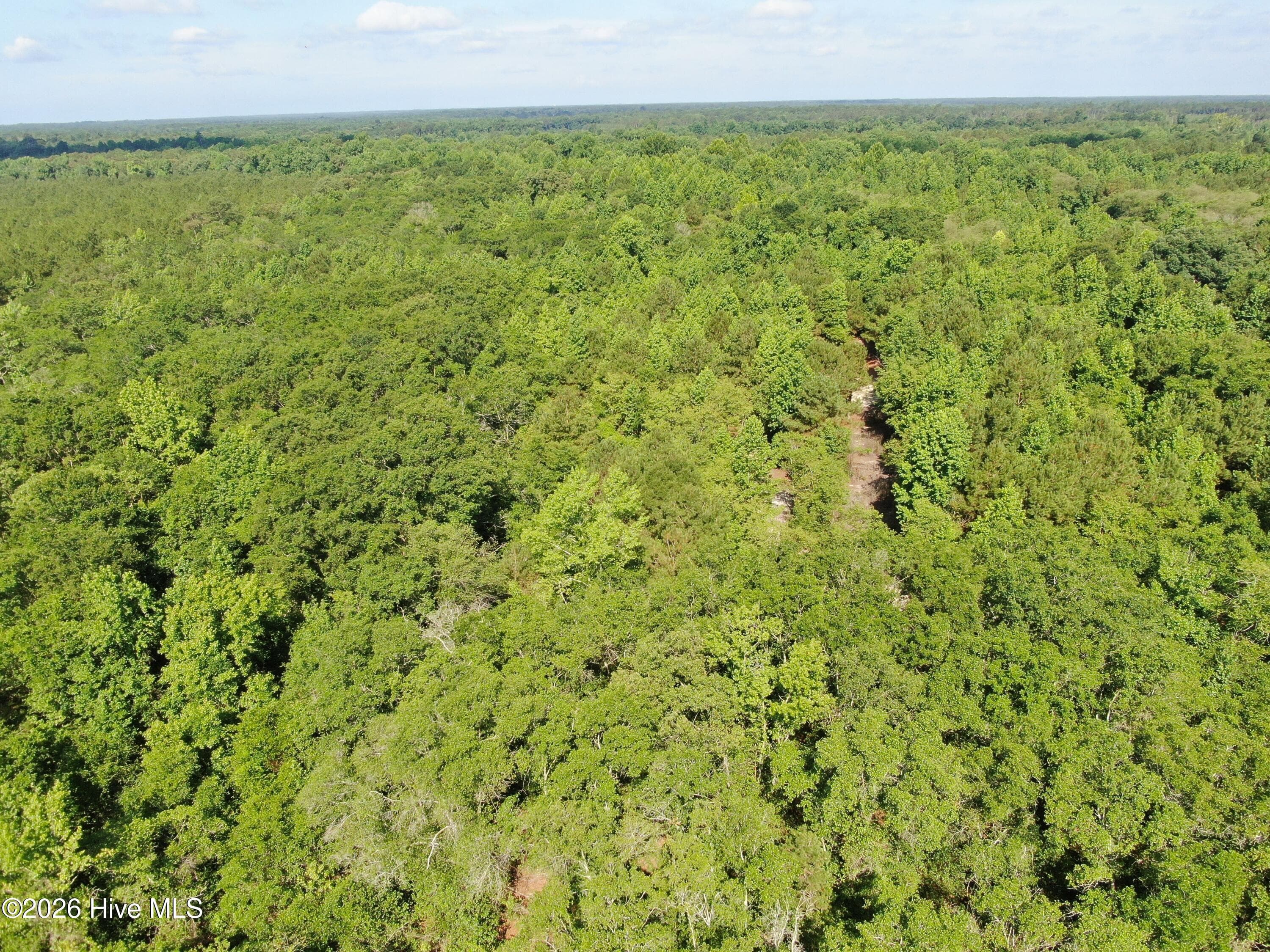 Wooded at Tbd Oliver Carlton Road, Warsaw, NC 28398, photo 16 of 17