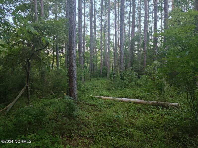 Wooded at 33 33 Mixon Creek Drive, Bath, NC 27808, photo 2 of 4