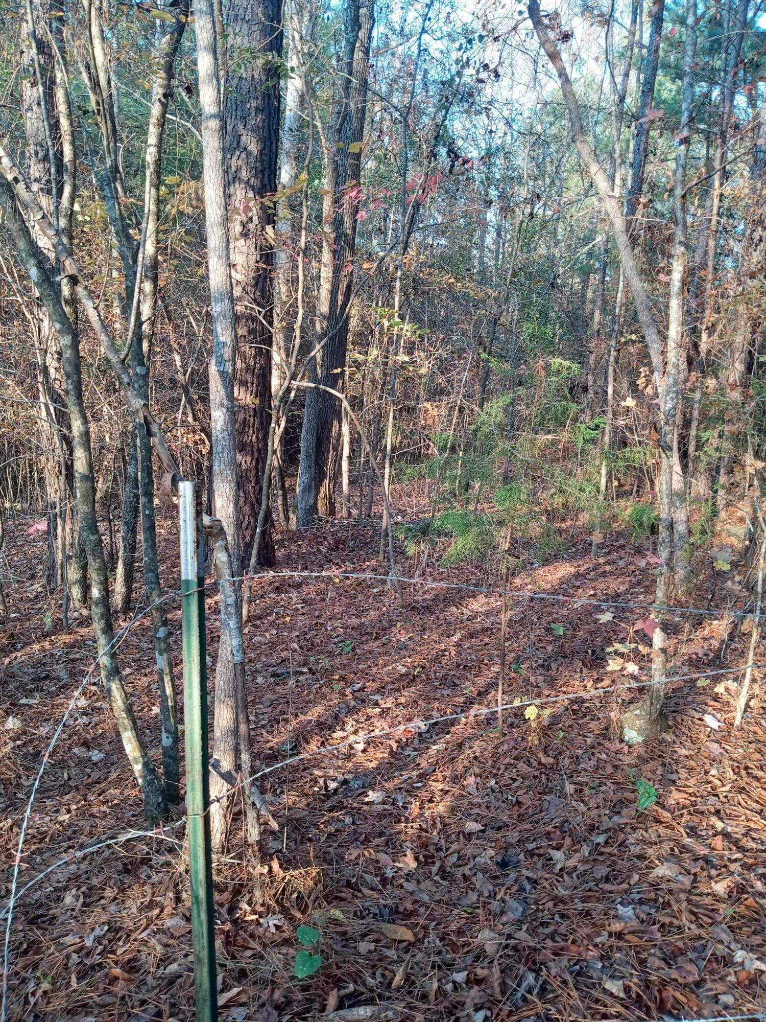 Residential Lot at 2722 Sc-23, Modoc, SC 29838, photo 44 of 62