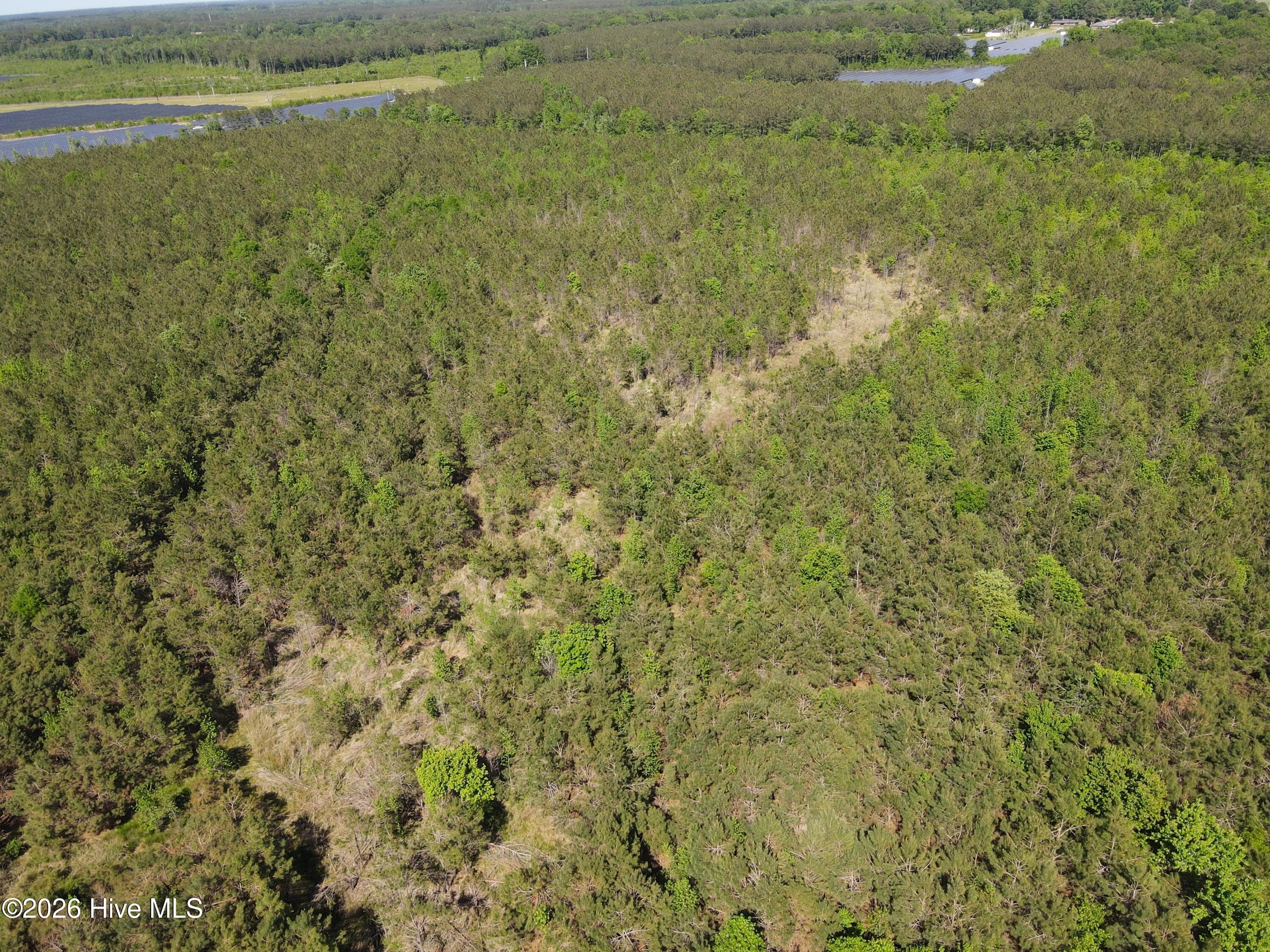 Undeveloped at 0 Colice Hall Lane, Ahoskie, NC 27910, photo 14 of 20