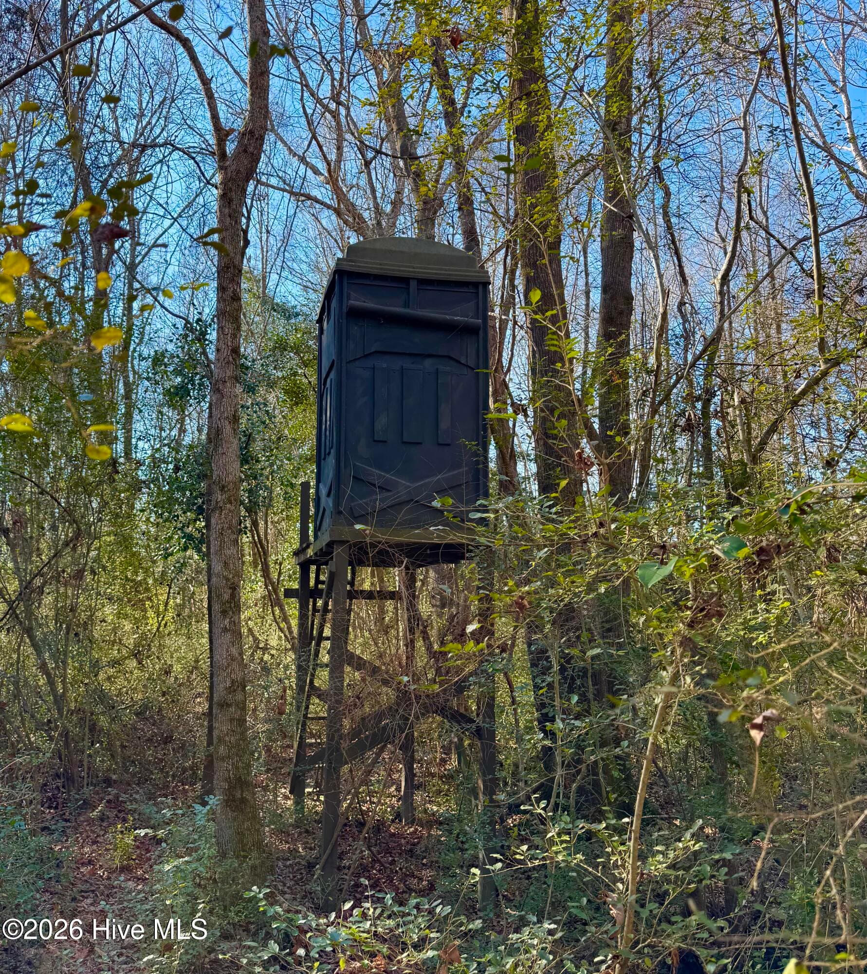 Wooded at 0 Fred Circle S, Kenly, NC 27542, photo 3 of 21
