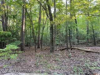 Residential Lot at 91a Palomino Road, Carthage, NC 28327, photo 5 of 6