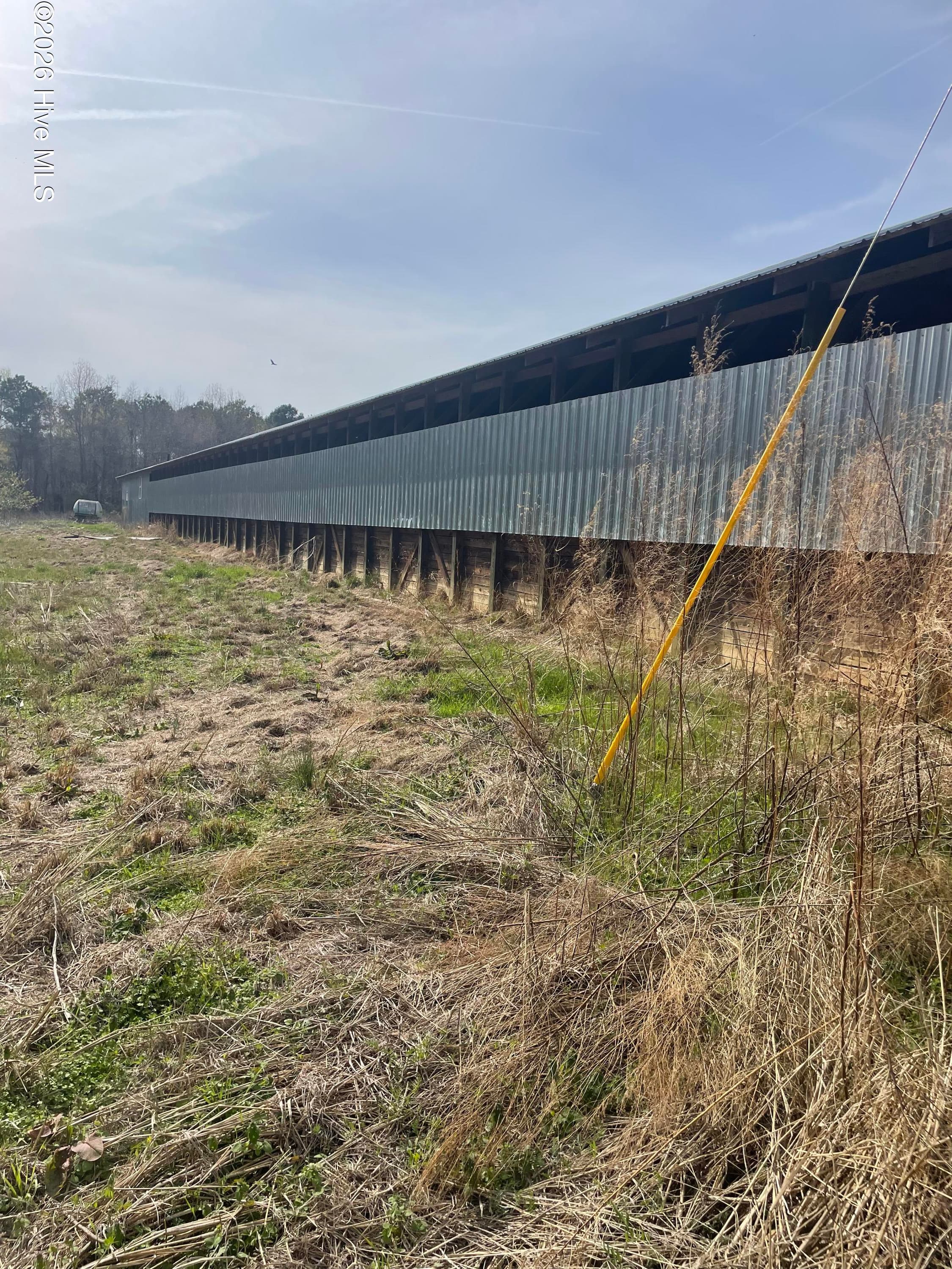 Farm at 5650 Old 125 Road, Scotland Neck, NC 27874, photo 2 of 8