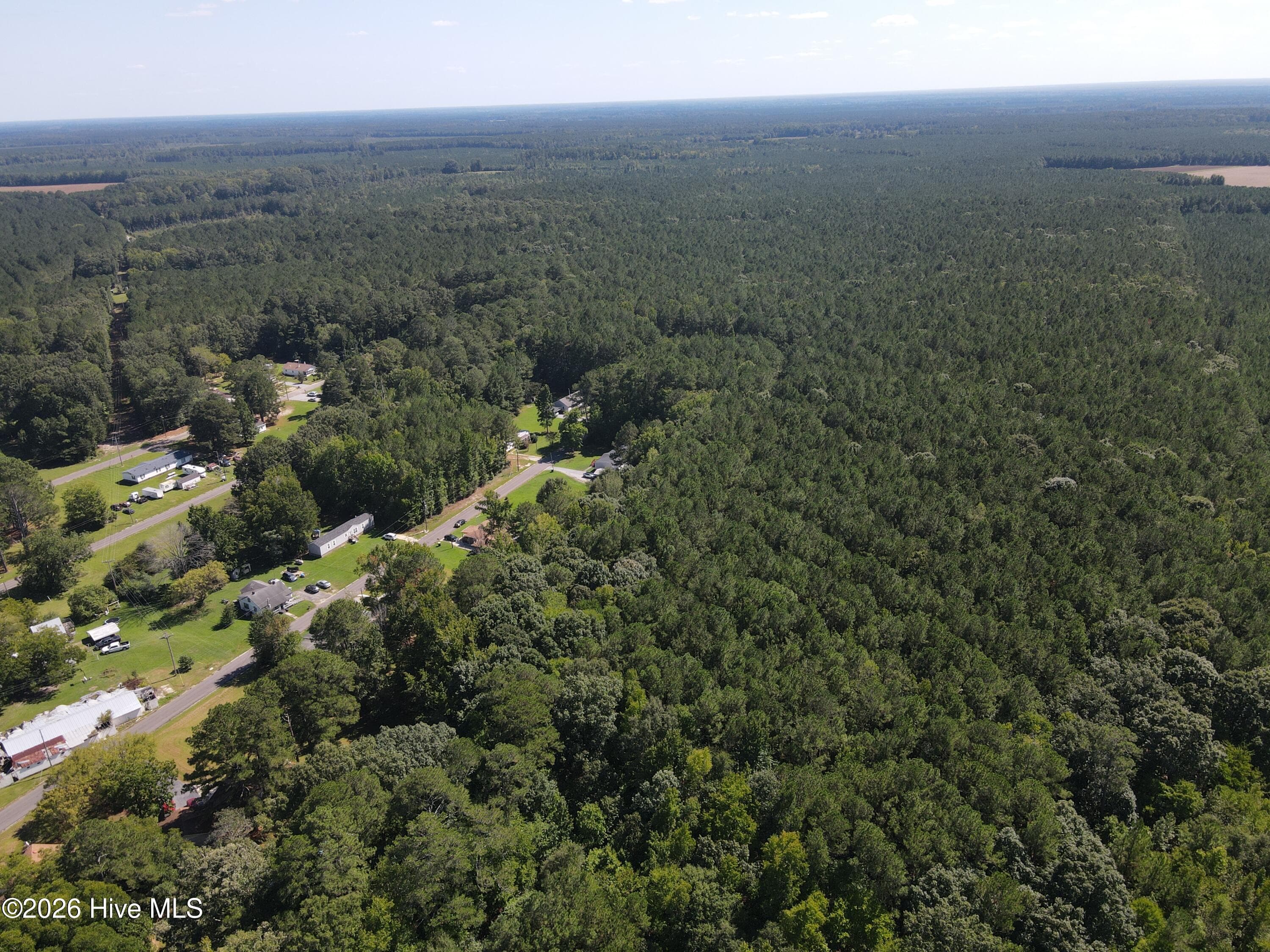 Wooded at Tbd Nc 305, Jackson, NC 27845, photo 7 of 9