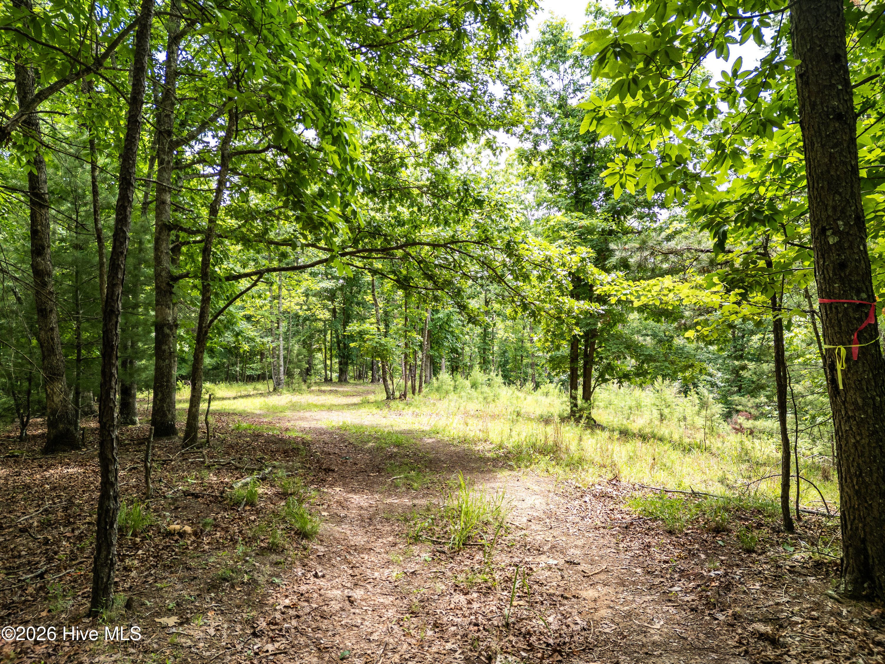 2 2 Stormy Ridge, Brasstown, NC 28902
