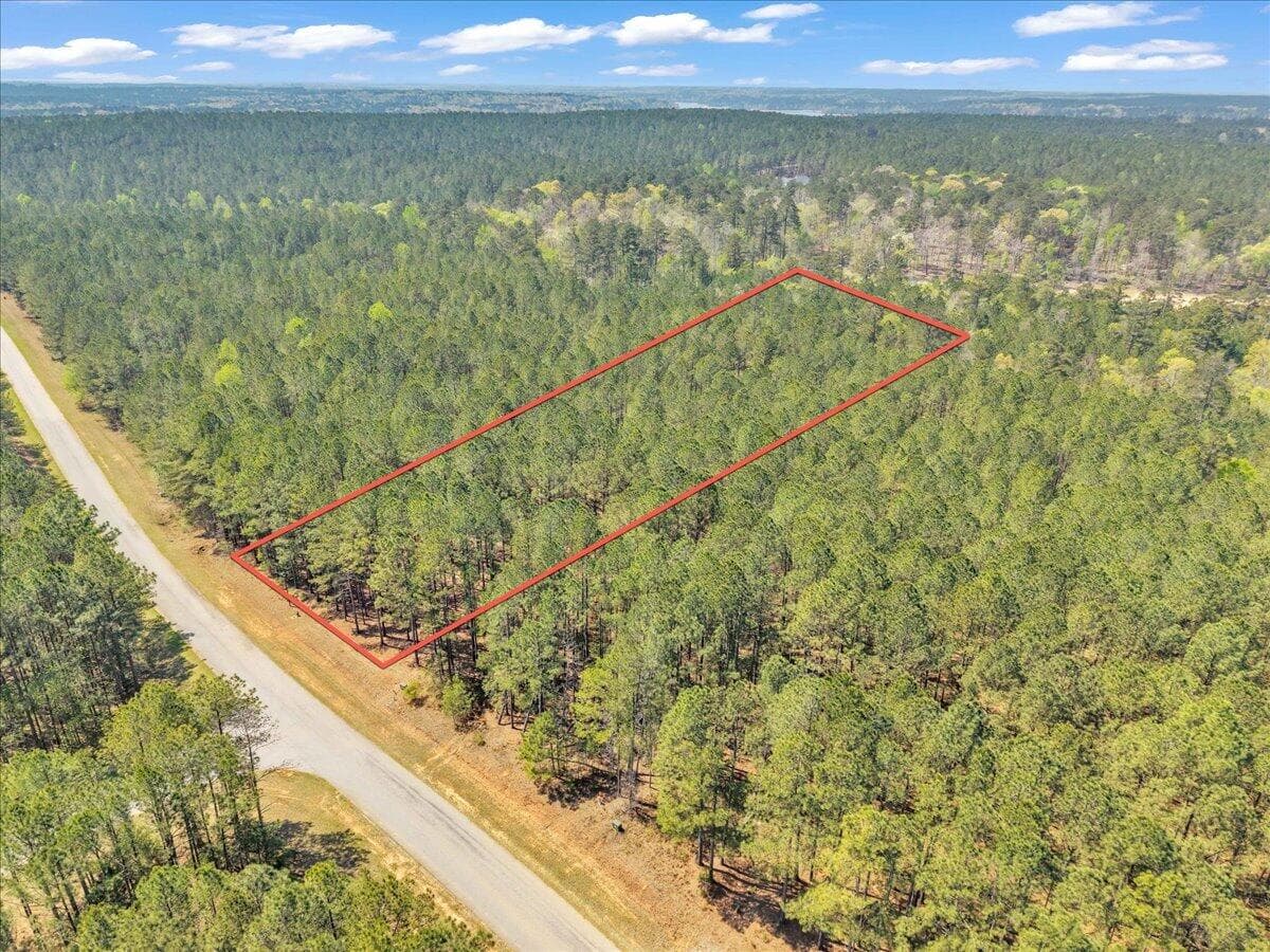 Residential Lot at Lot 65 65 Maiden Cane Way, Lincolnton, GA 30817, photo 22 of 59