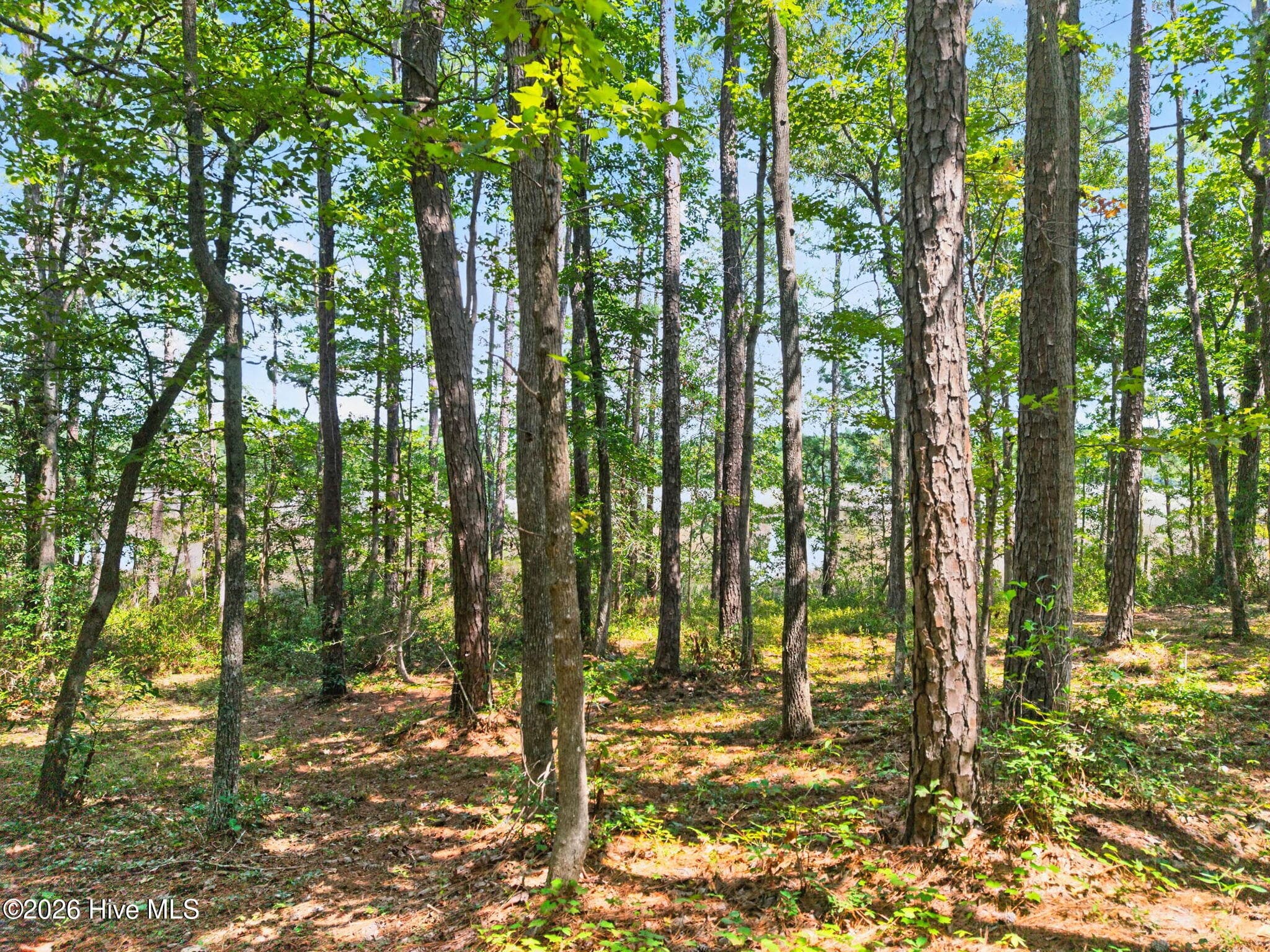 Residential Lot at 3075 L-54 Valderama Way SE, Bolivia, NC 28422, photo 12 of 25
