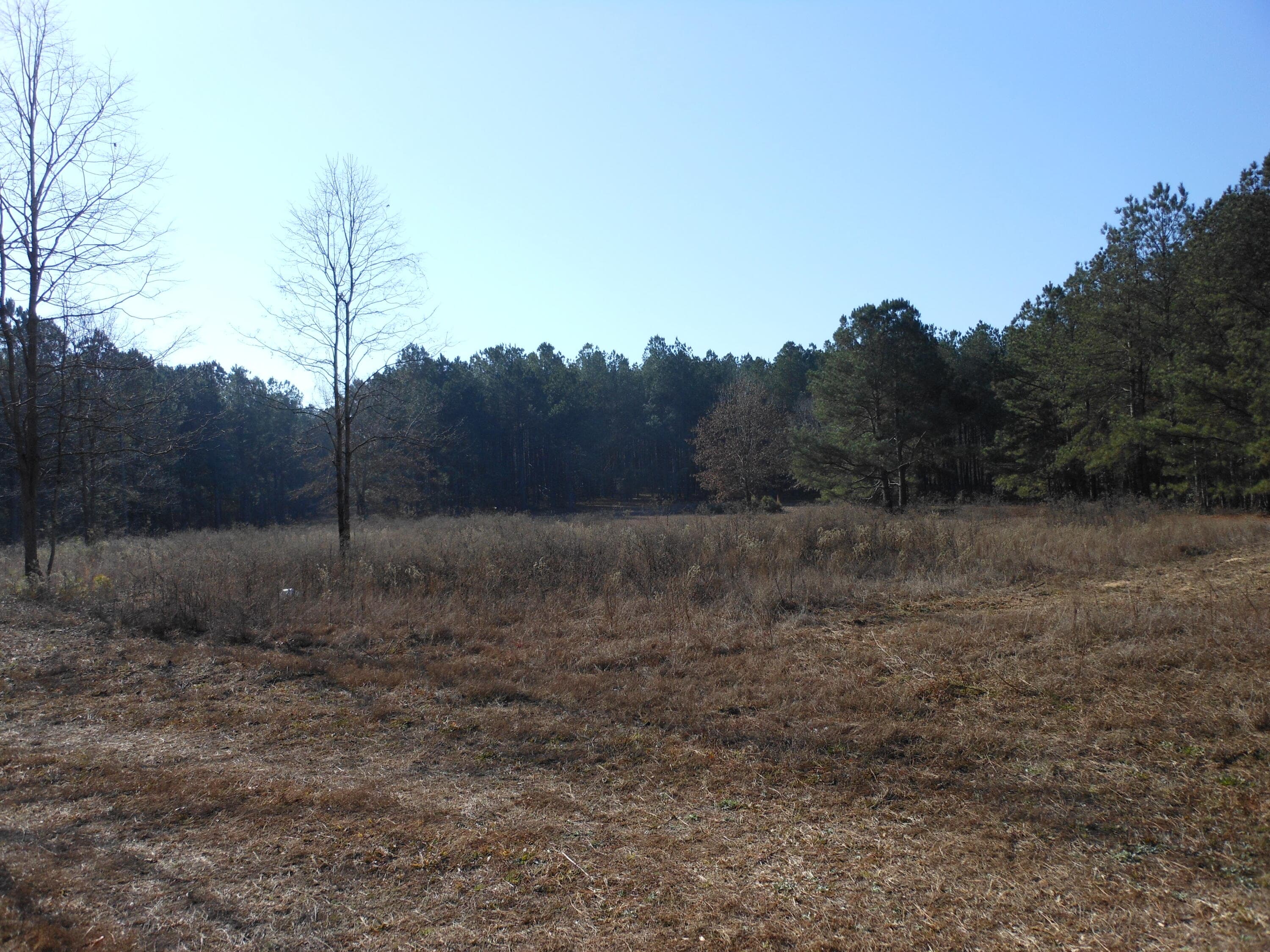 Undeveloped at 0 Ponderosa Road, Waynesboro, GA 30830, photo 38 of 45