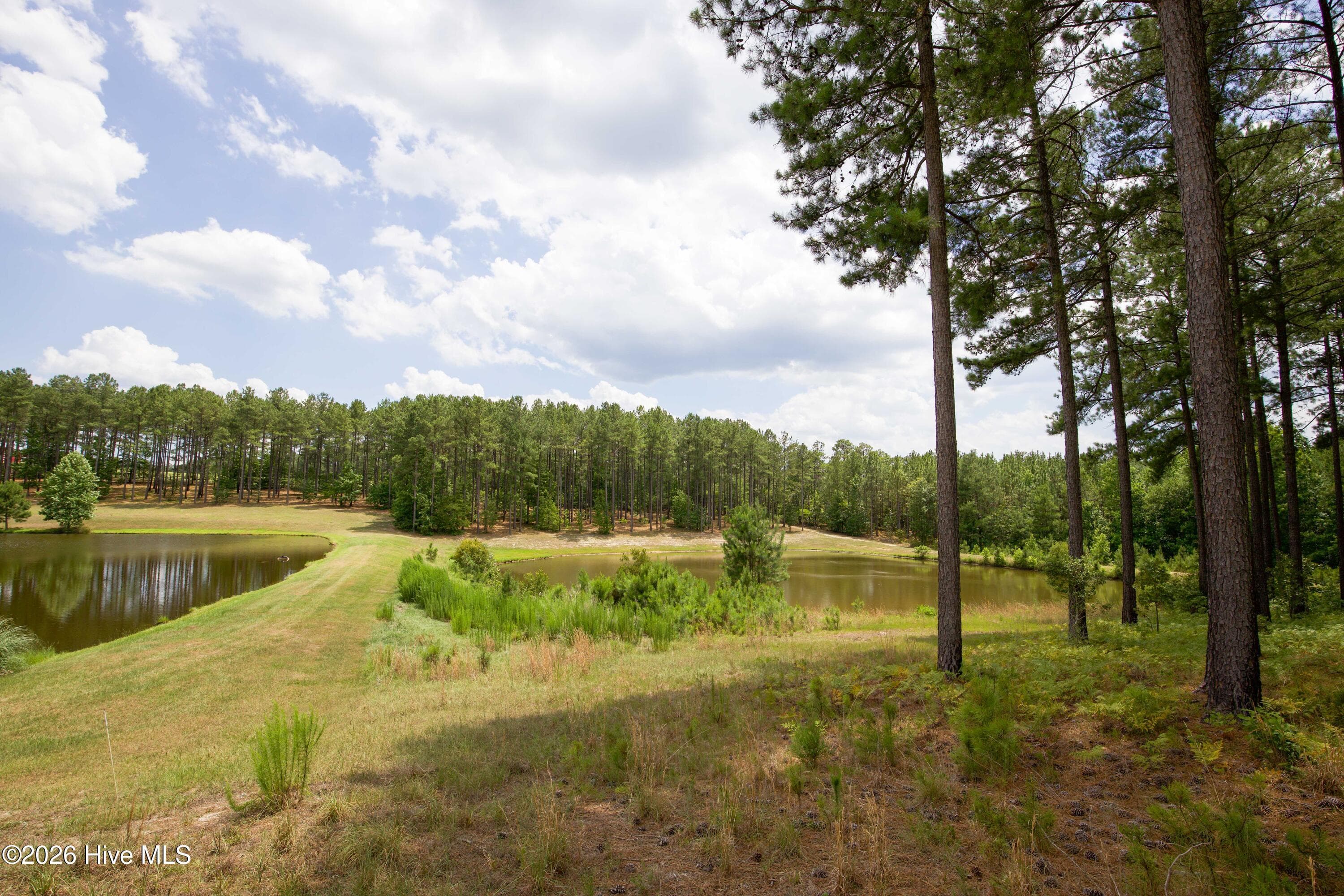 Horse Farm at 220 44B Justin Way, Foxfire Village, NC 27281, photo 47 of 69