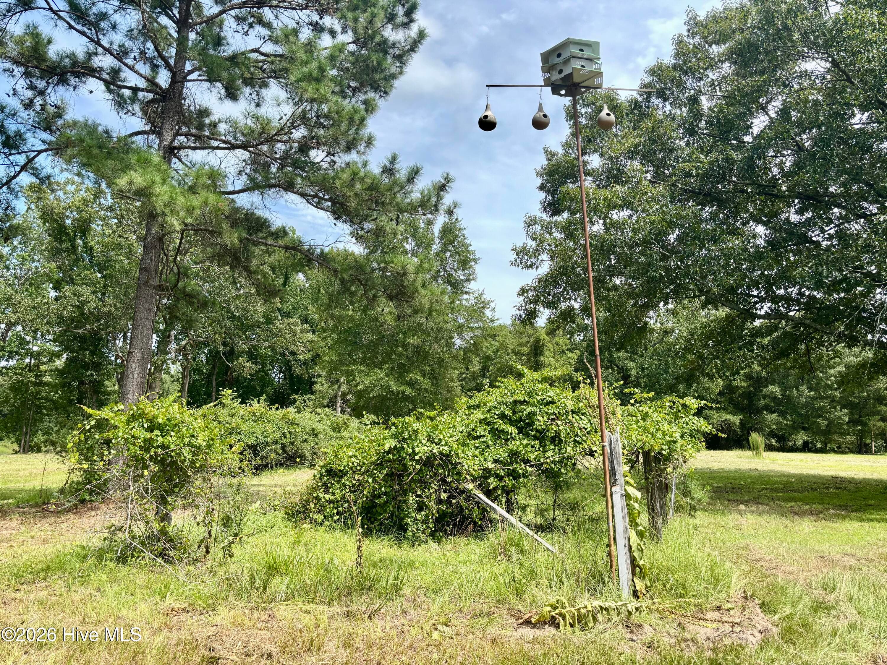 Undeveloped at Tbd Roberdel School Road, Rockingham, NC 28379, photo 23 of 41