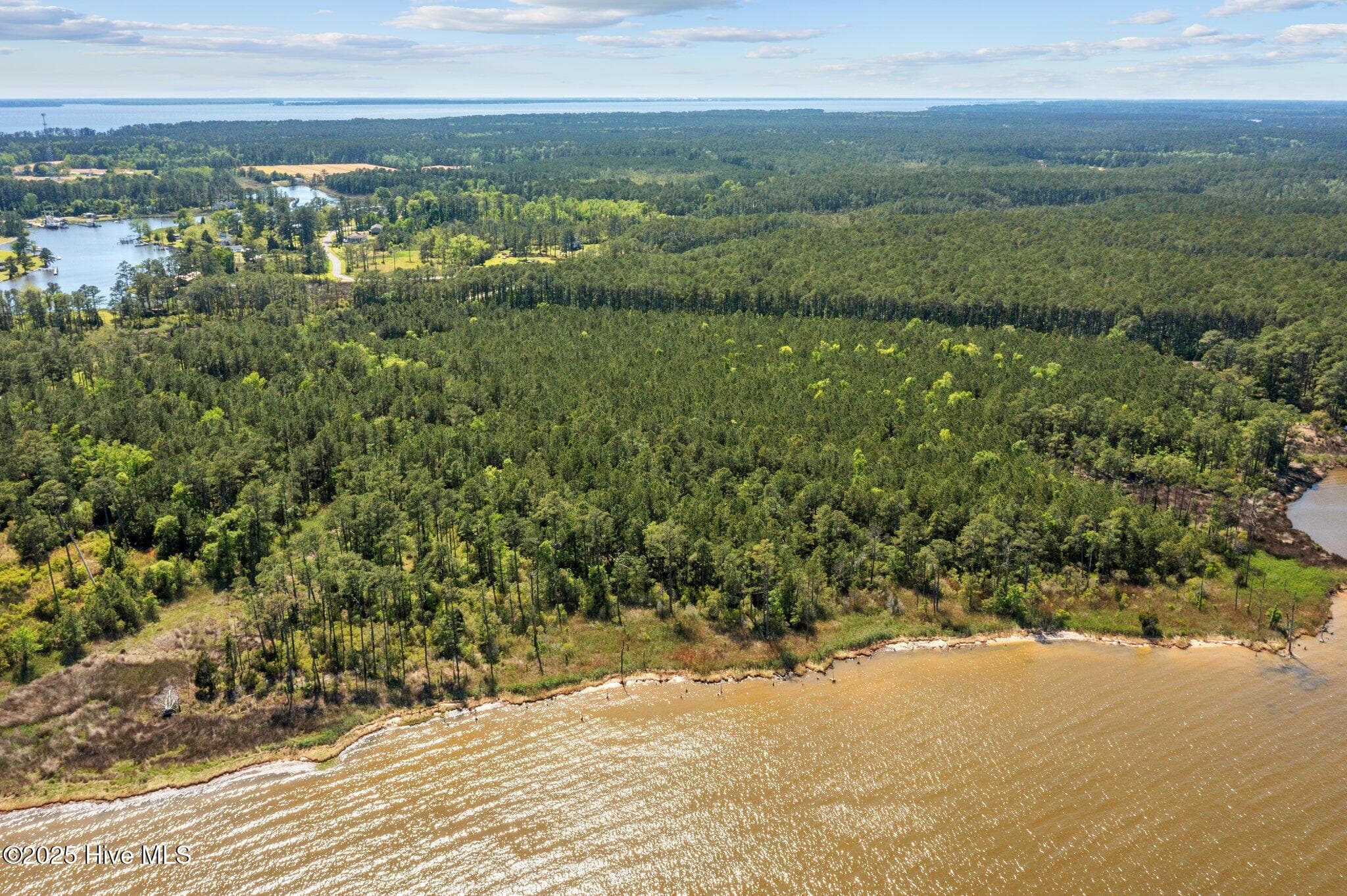 Residential Land at 0 Sr 1726, Belhaven, NC 27810, photo 7 of 11