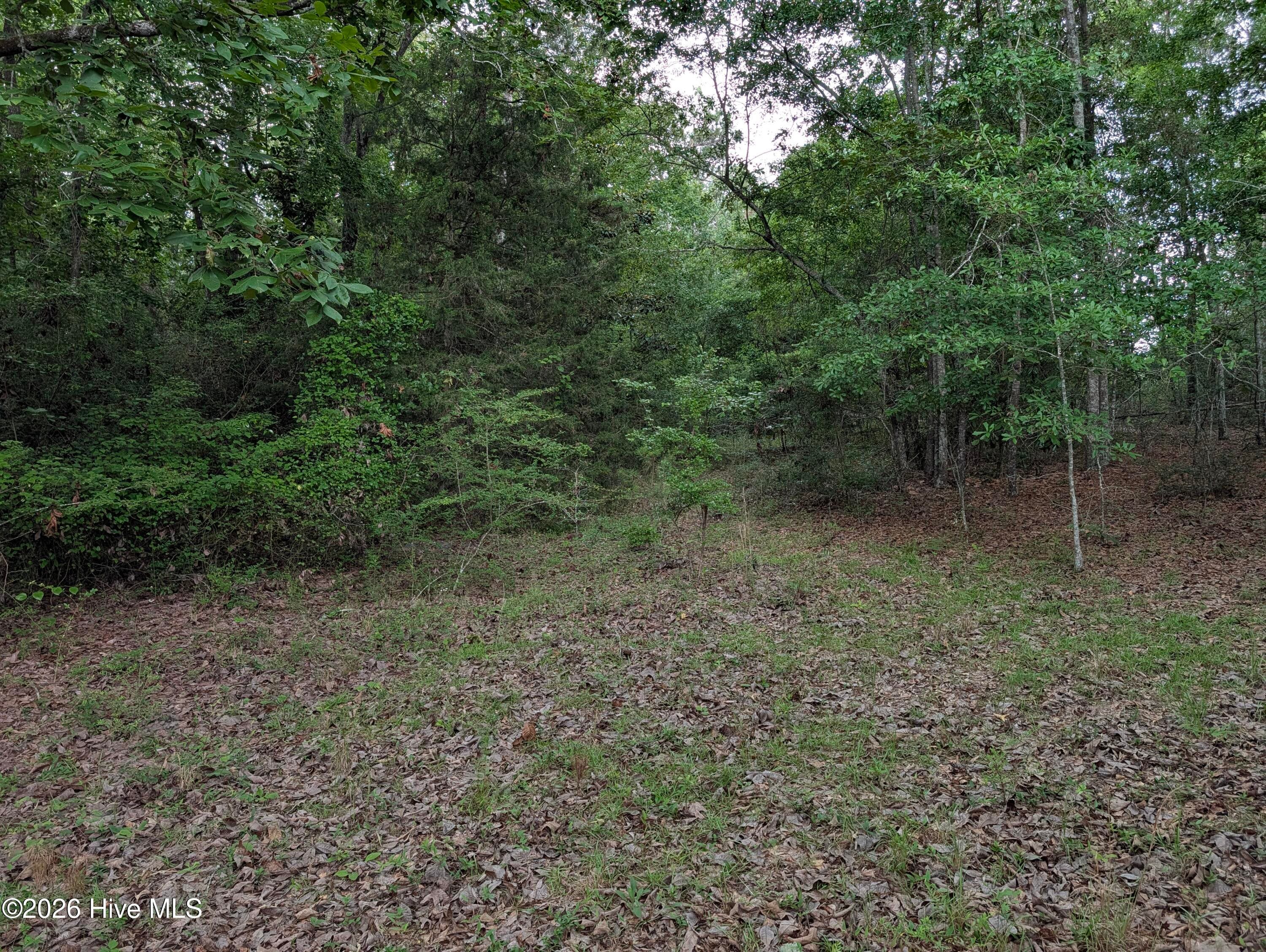 Residential Lot at 285 Garvin Drive, Wagener, SC 29164, photo 12 of 14