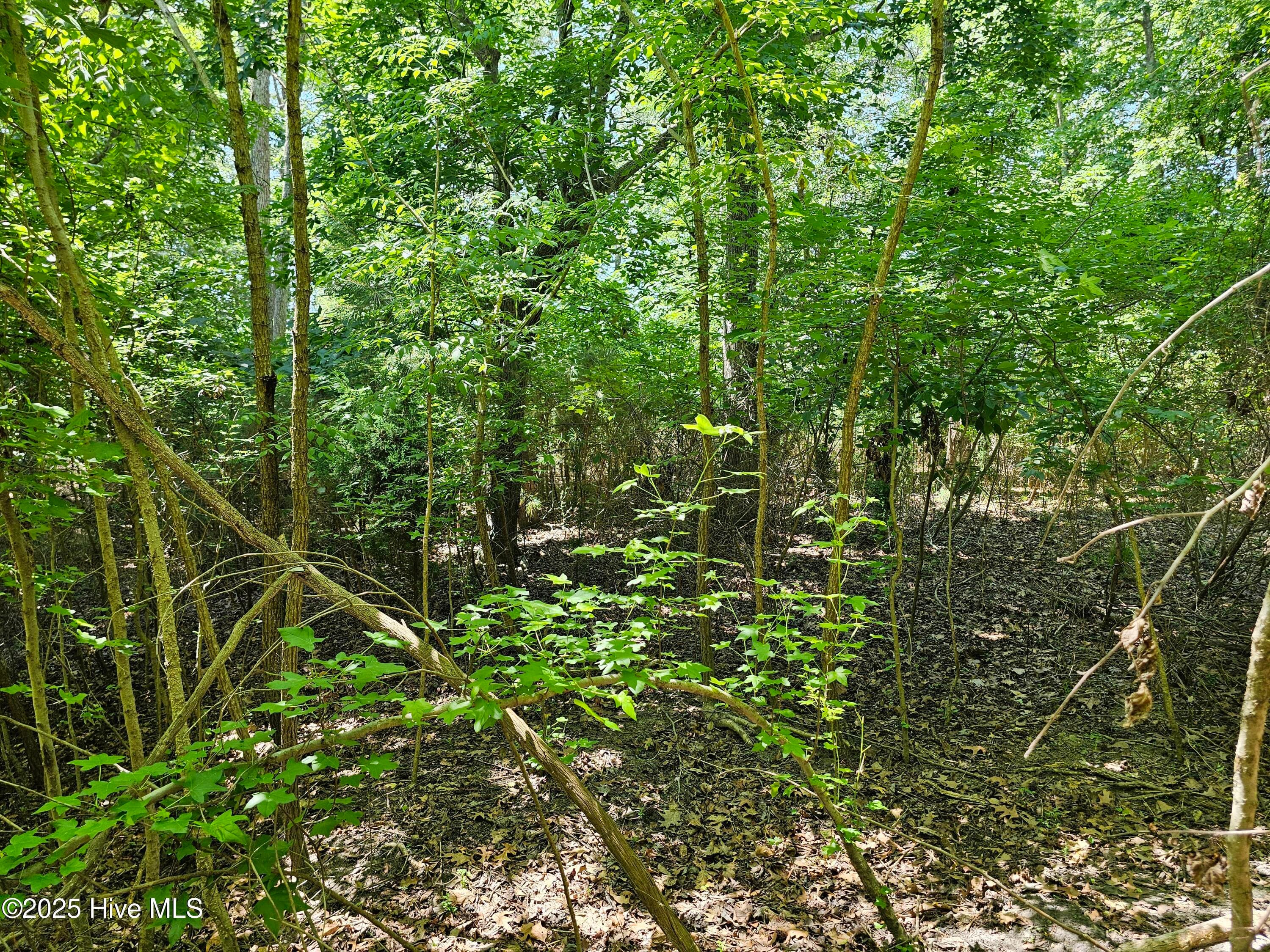 Residential Land at 10 10 Peninsula Shores Way, Hertford, NC 27944, Hertford, photo 12 of 18