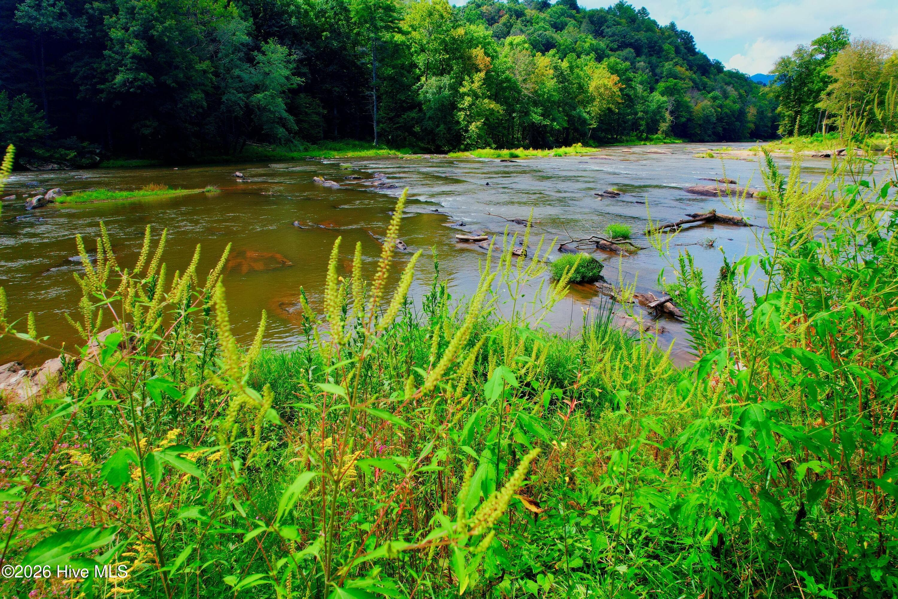 Undeveloped at 2872 Panther Creek Road, Clyde, NC 28721, photo 75 of 82