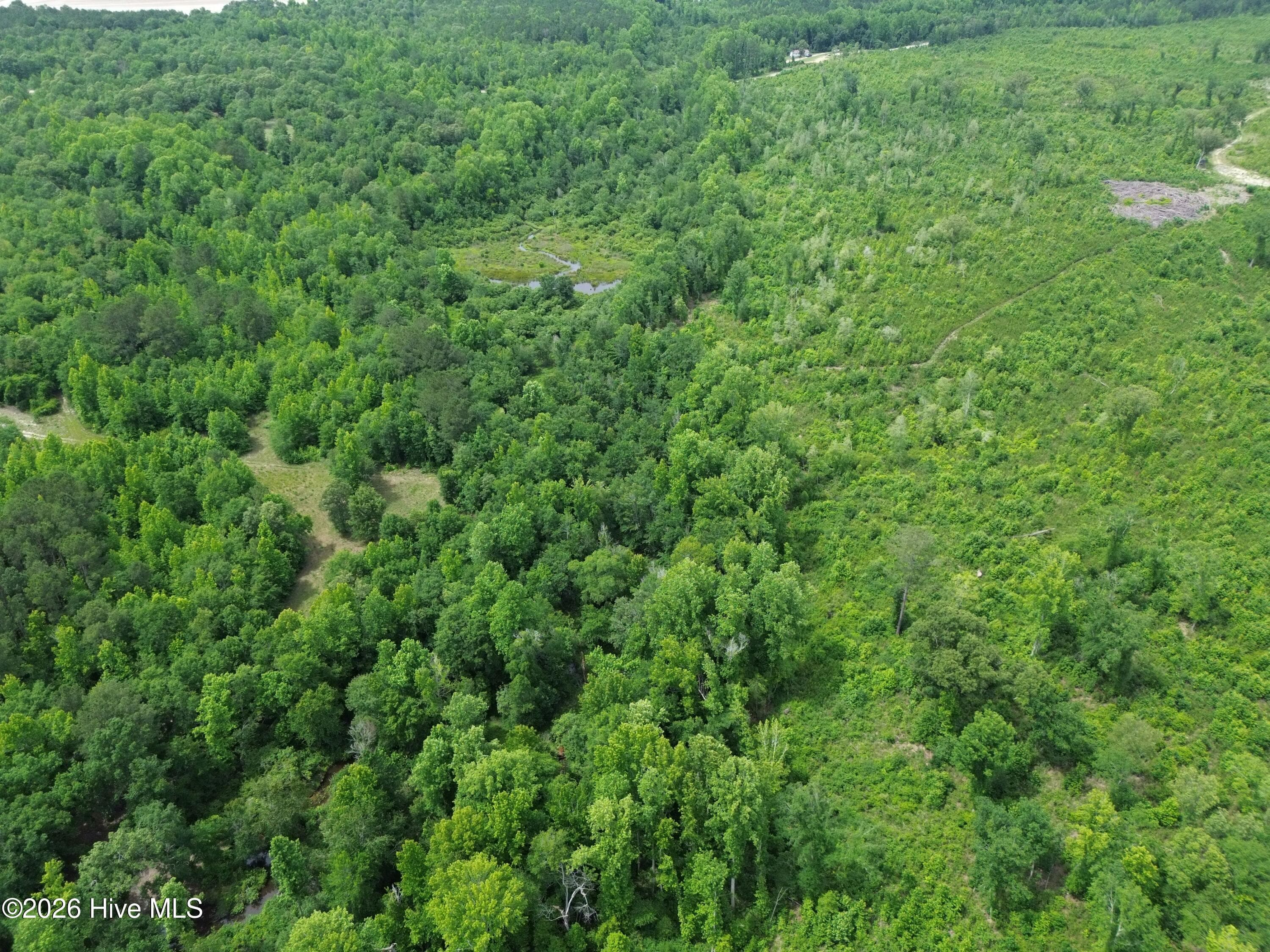Undeveloped at 0 Pughsley Road, Stapleton, GA 30823, photo 10 of 13