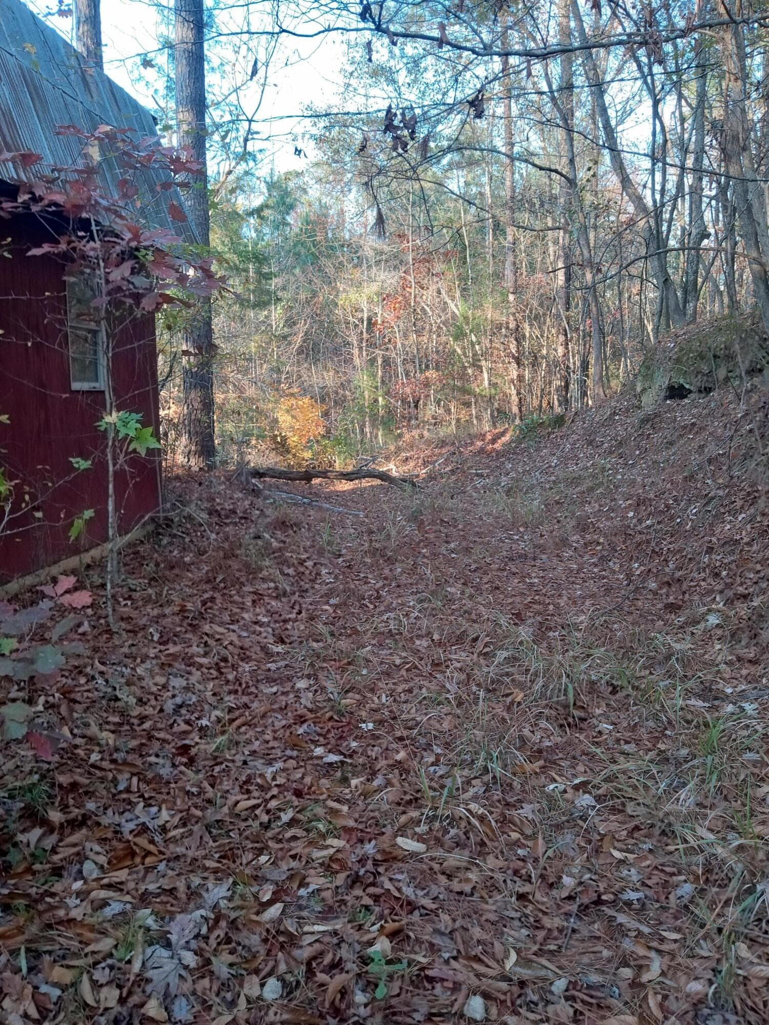 Residential Lot at 2722 Sc-23, Modoc, SC 29838, photo 42 of 62