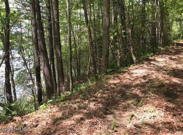 Residential Lot at 21 10 Rainwater Point, Topton, NC 28781, photo 4 of 9