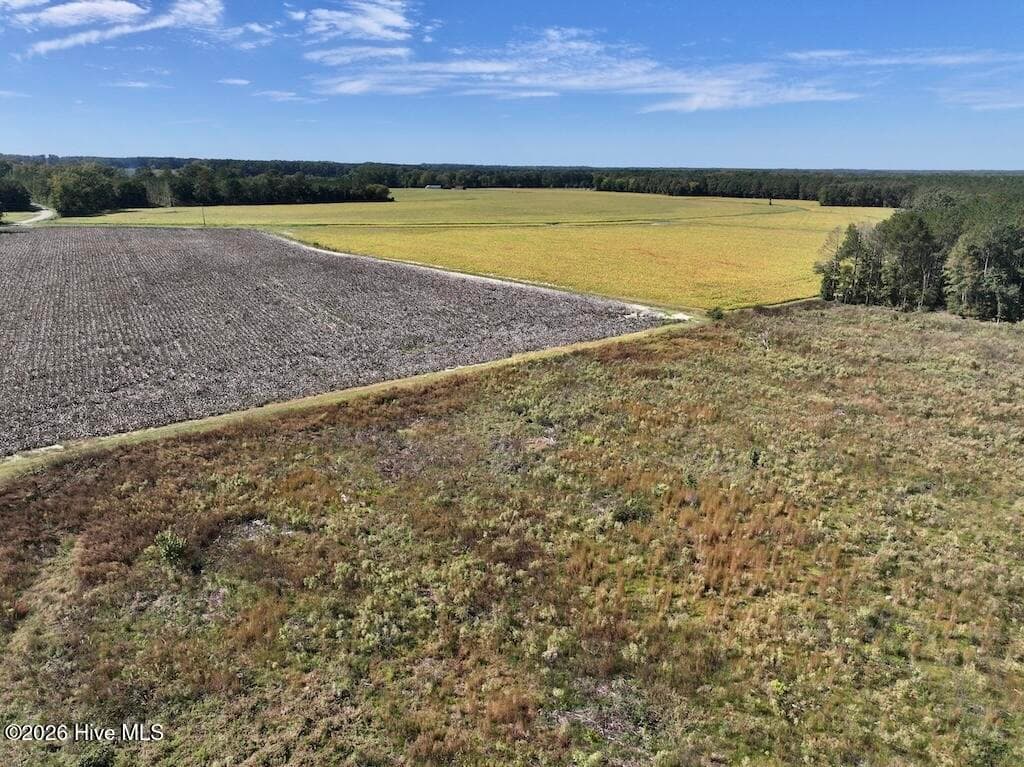 Mixed Use at 0 Spring Hill Road, Scotland Neck, NC 27874, photo 84 of 93