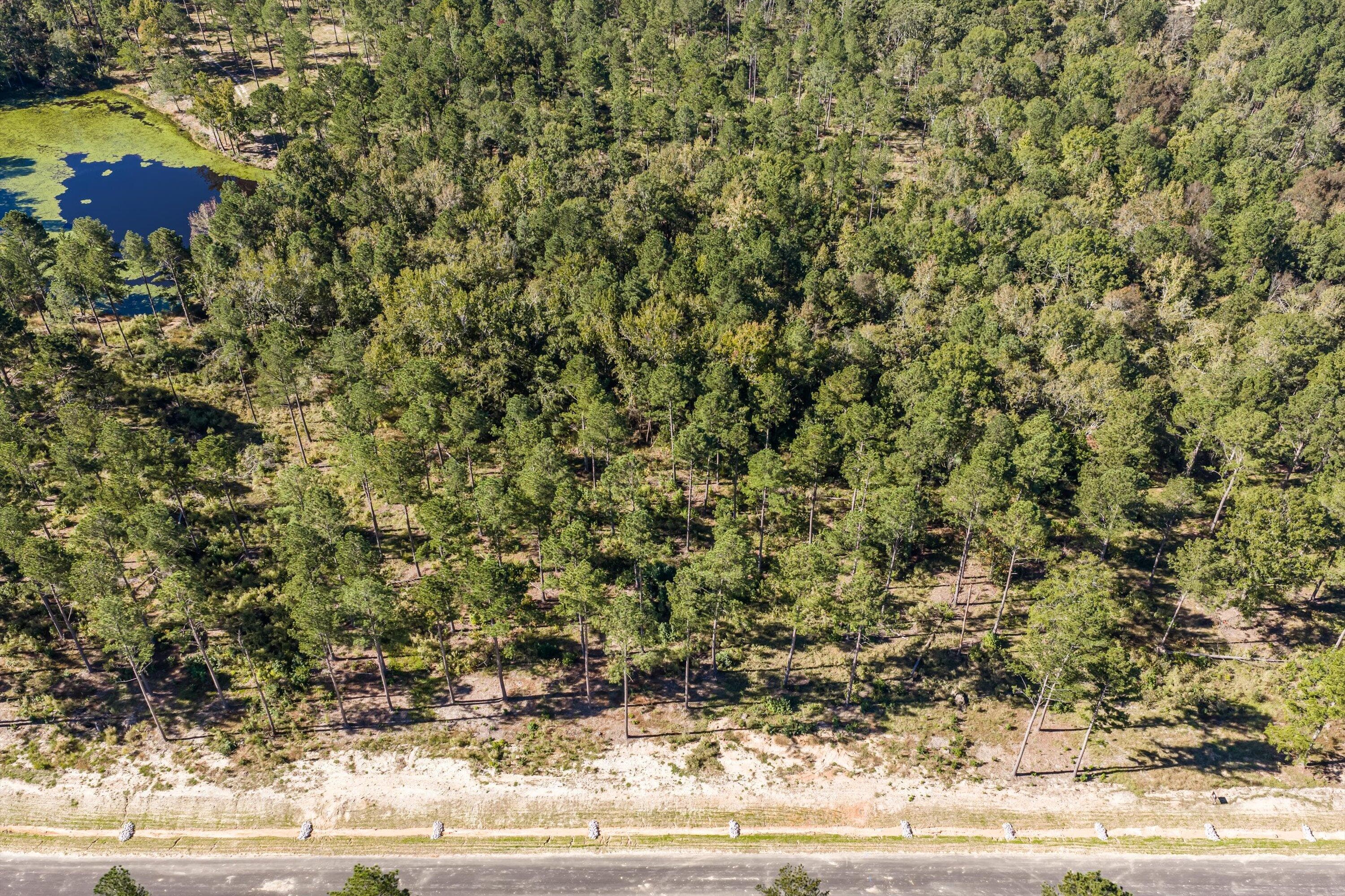 Residential Lot at 150 Beagle Chase Drive, Appling, GA 30802, photo 6 of 6