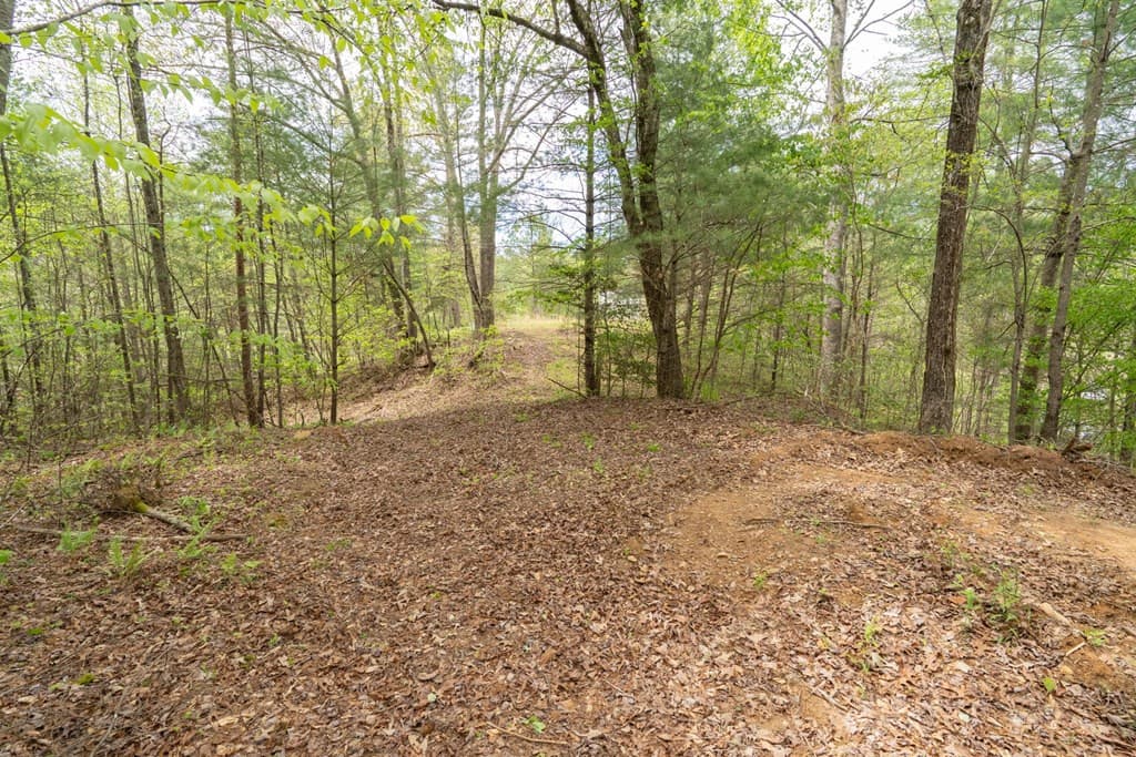 Wooded at 125 Milk And Honey Drive, Murphy, NC 28902, photo 9 of 23