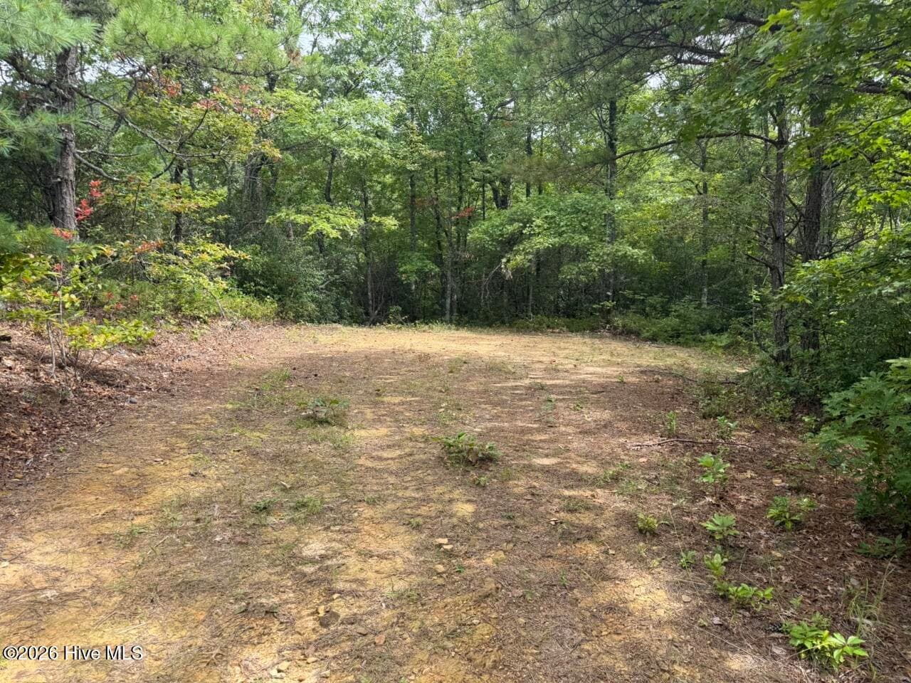 Undeveloped at 760 Cliff Top Trail, Andrews, NC 28901, photo 4 of 14