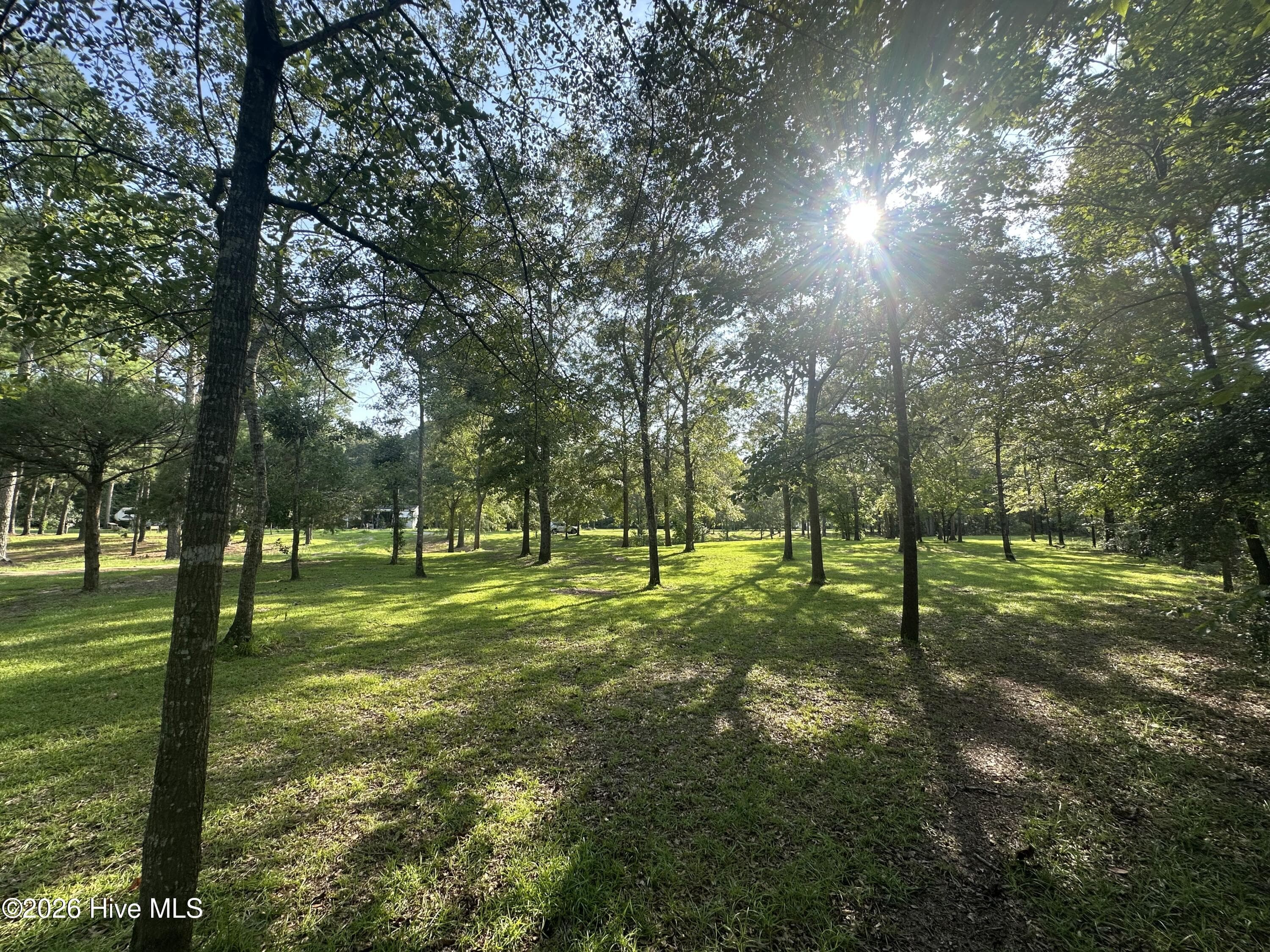 Residential Lot at 43 Black River Lane, Harrells, NC 28444, photo 13 of 15