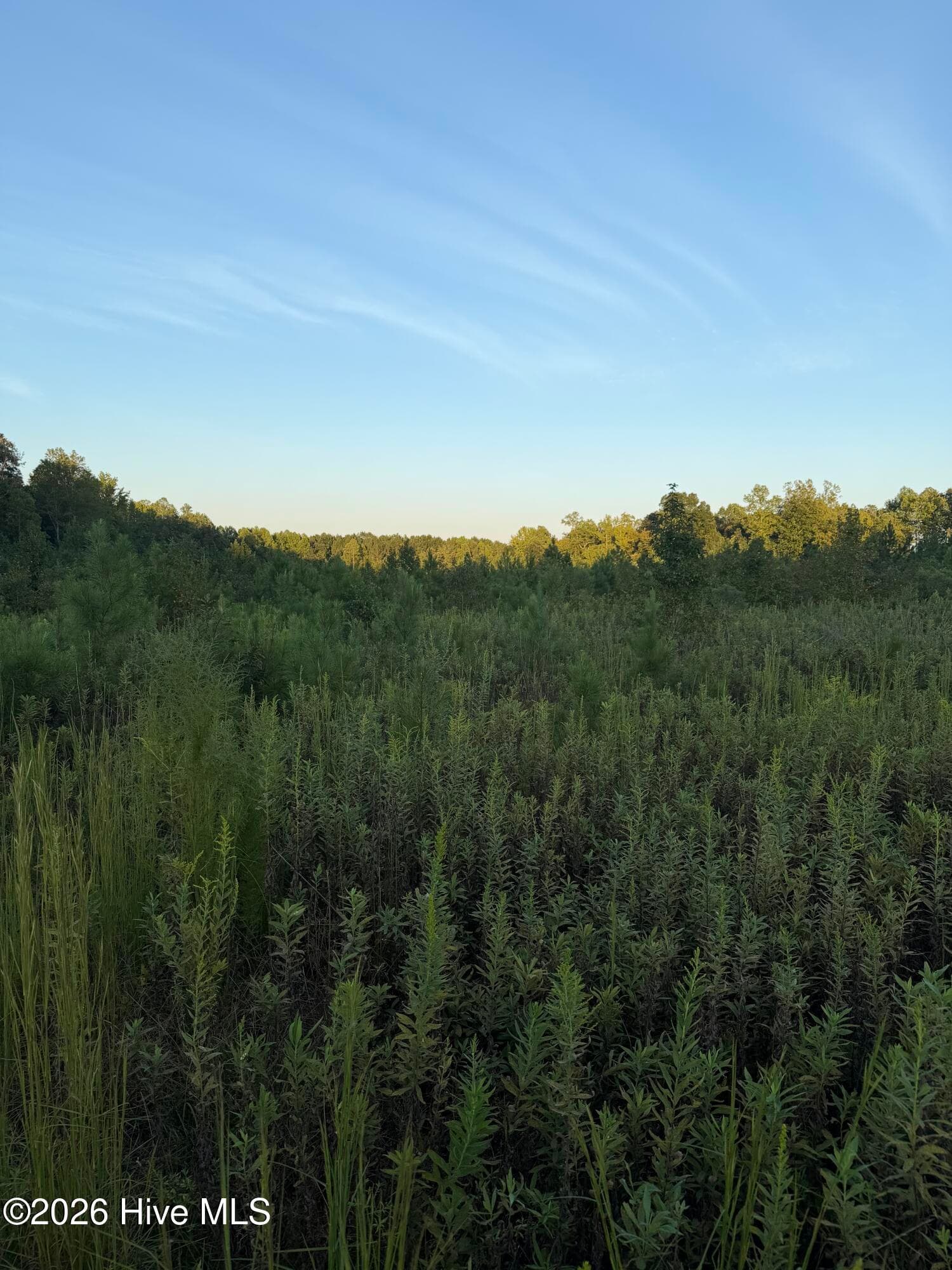 Residential Lot at 12 Acres Hope Creek Trail, Spring Hope, NC 27882, photo 2 of 8