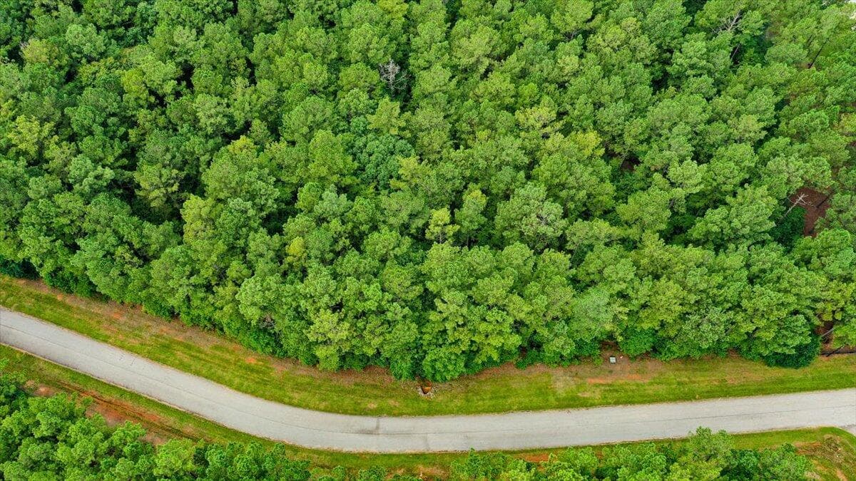 Residential Lot at Lot 58 58 Lighthouse Pointe, Lincolnton, GA 30817, photo 10 of 31