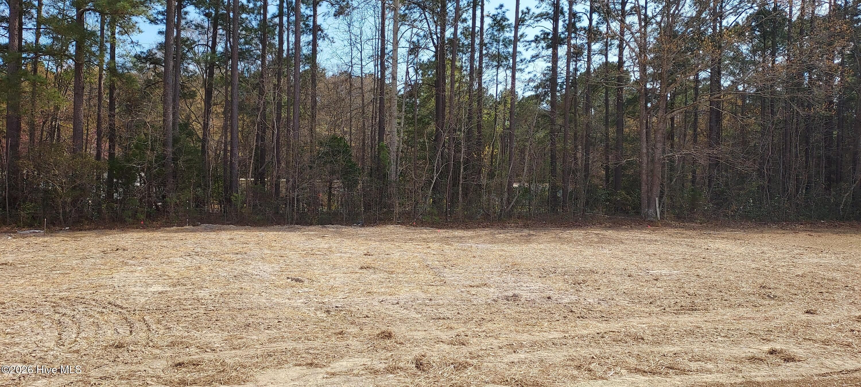 Single Family Residence at 110 Rolling Water Lane, Swansboro, NC 28584, photo 27 of 27