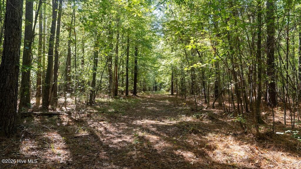 Mixed Use at 0 Spring Hill Road, Scotland Neck, NC 27874, photo 47 of 93
