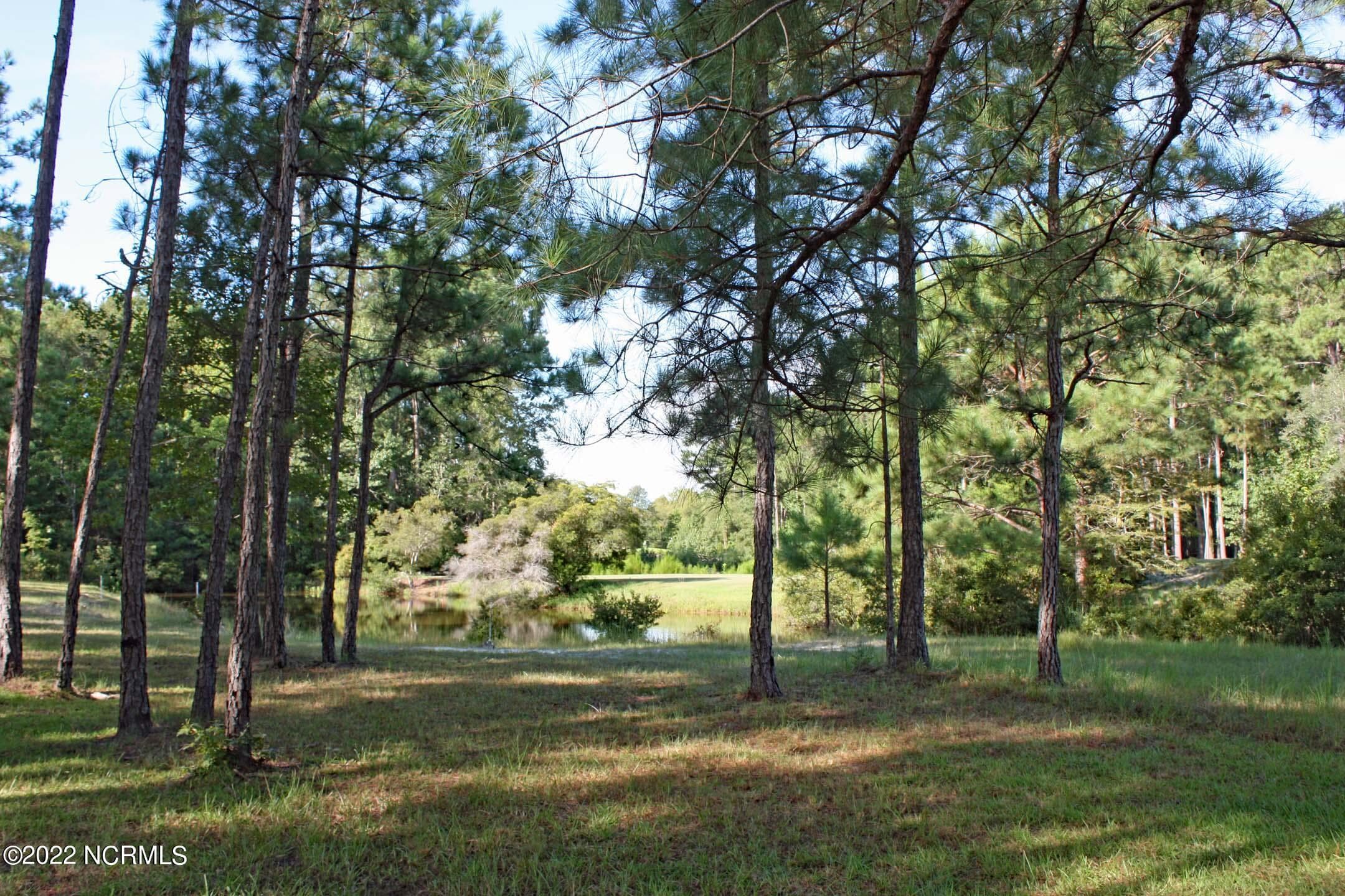 Residential Lot at 569 12 Lindgrove Place SW, Ocean Isle Beach, NC 28469, photo 3 of 25