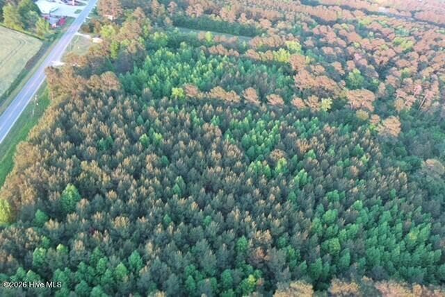 Unimproved Land at 53 Nc Hwy 53, Burgaw, NC 28425, photo 2 of 11