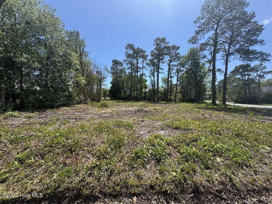 Residential Lot at 212 Lord Granville Drive, Morehead City, NC 28557, photo 3 of 4