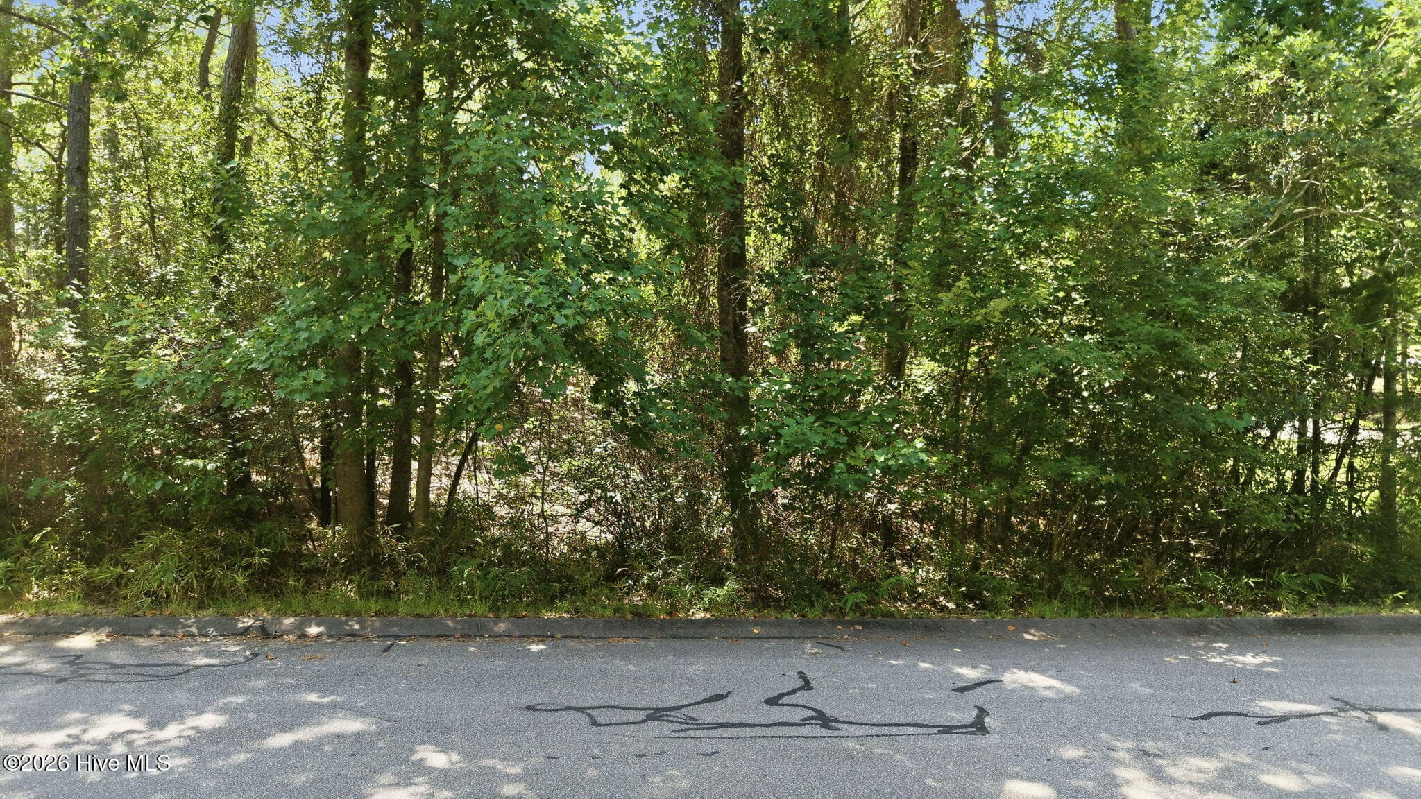 Residential Lot at 112 5421 Ritter Drive, Seven Lakes, NC 27376, photo 4 of 29