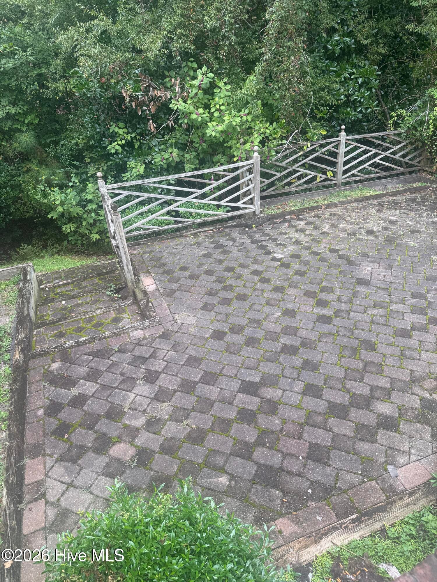 Backyard - 307 Taberna Circle, New Bern, NC 28562
