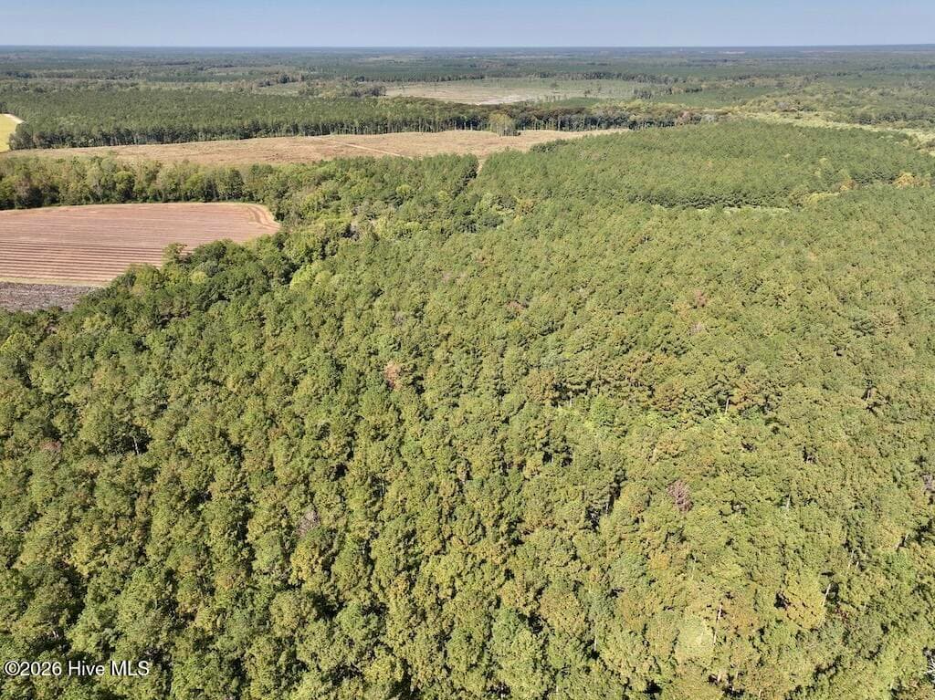 Mixed Use at 0 Spring Hill Road, Scotland Neck, NC 27874, photo 78 of 93