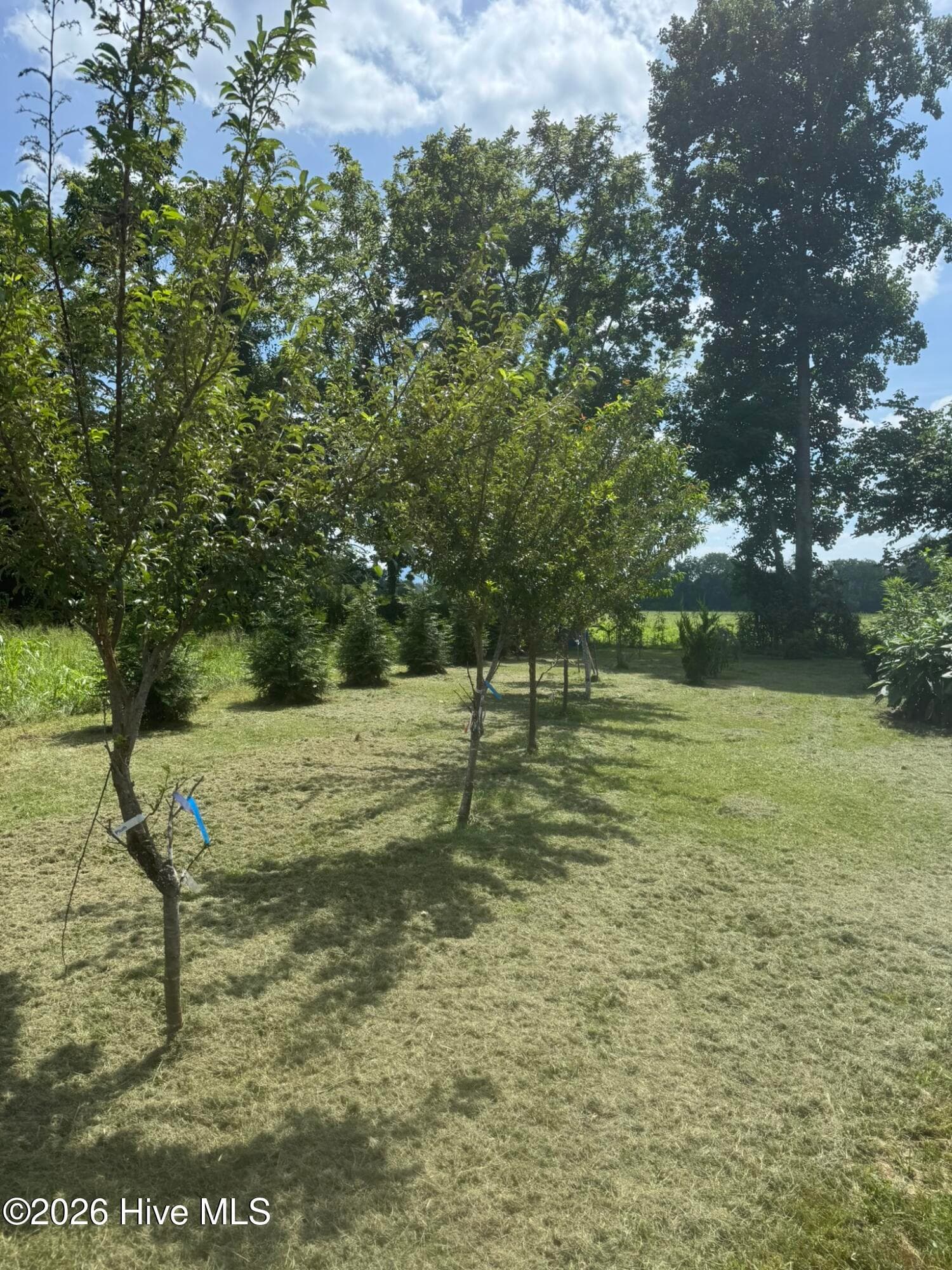 Residential Lot at 16 Waldorf Place, Brasstown, NC 28902, photo 11 of 13