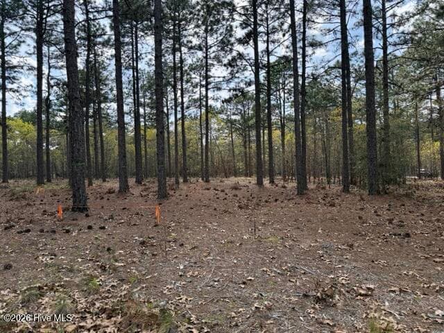 27 1209 Birkdale Way, Pinehurst, NC 28374